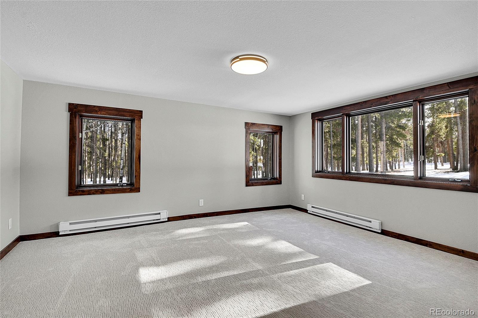 MLS Image #15 for 9123  booker lane,conifer, Colorado