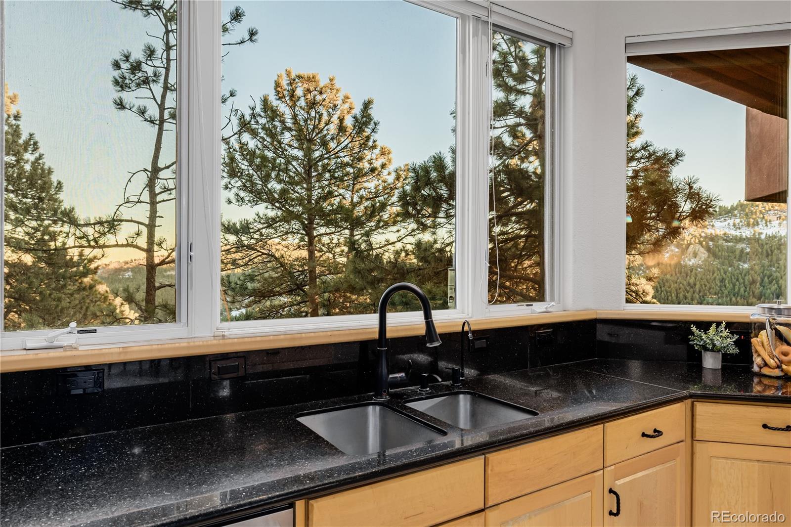 MLS Image #17 for 1077  carriage hills drive,boulder, Colorado