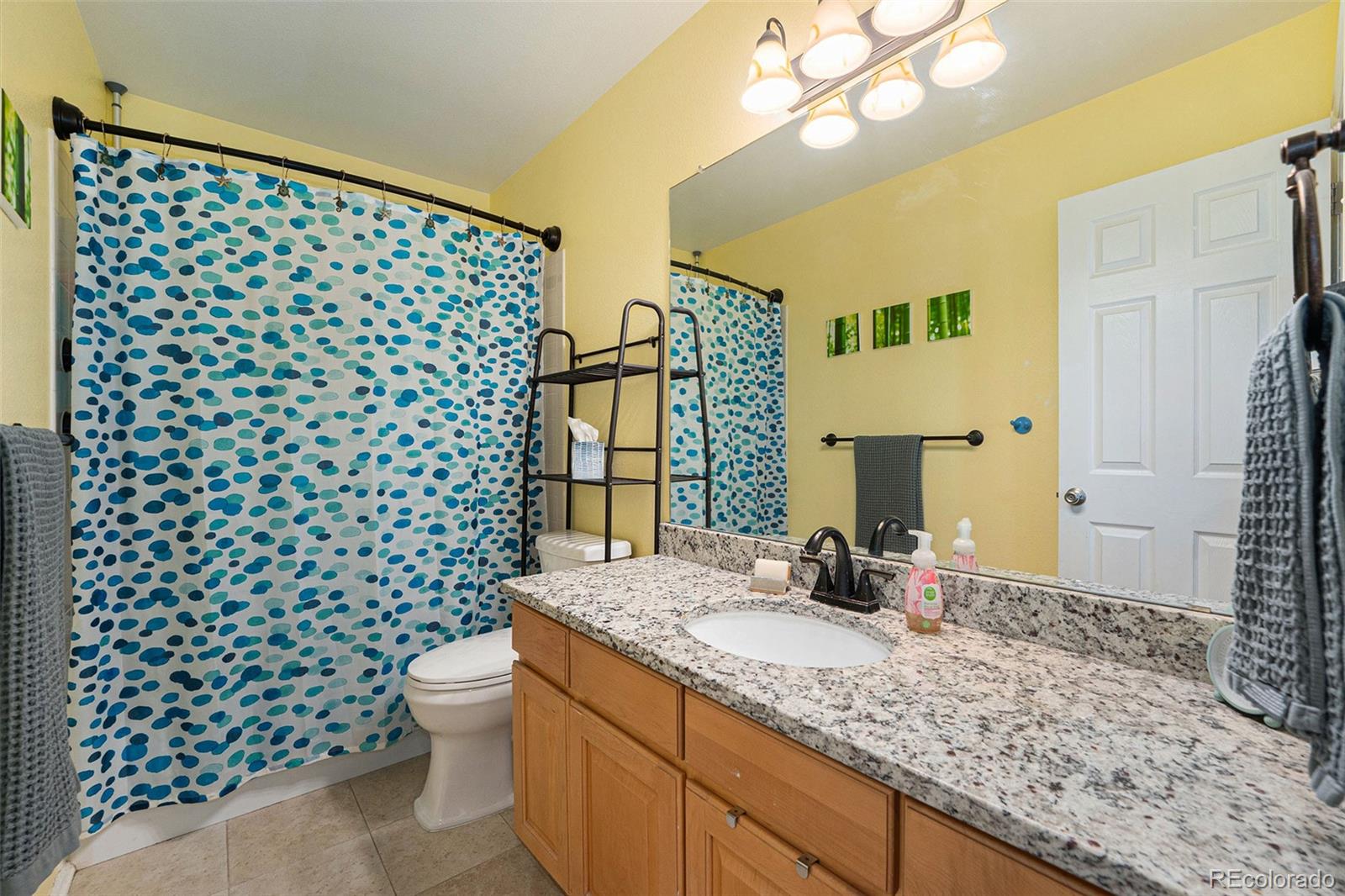 MLS Image #16 for 18689 e powers drive,aurora, Colorado