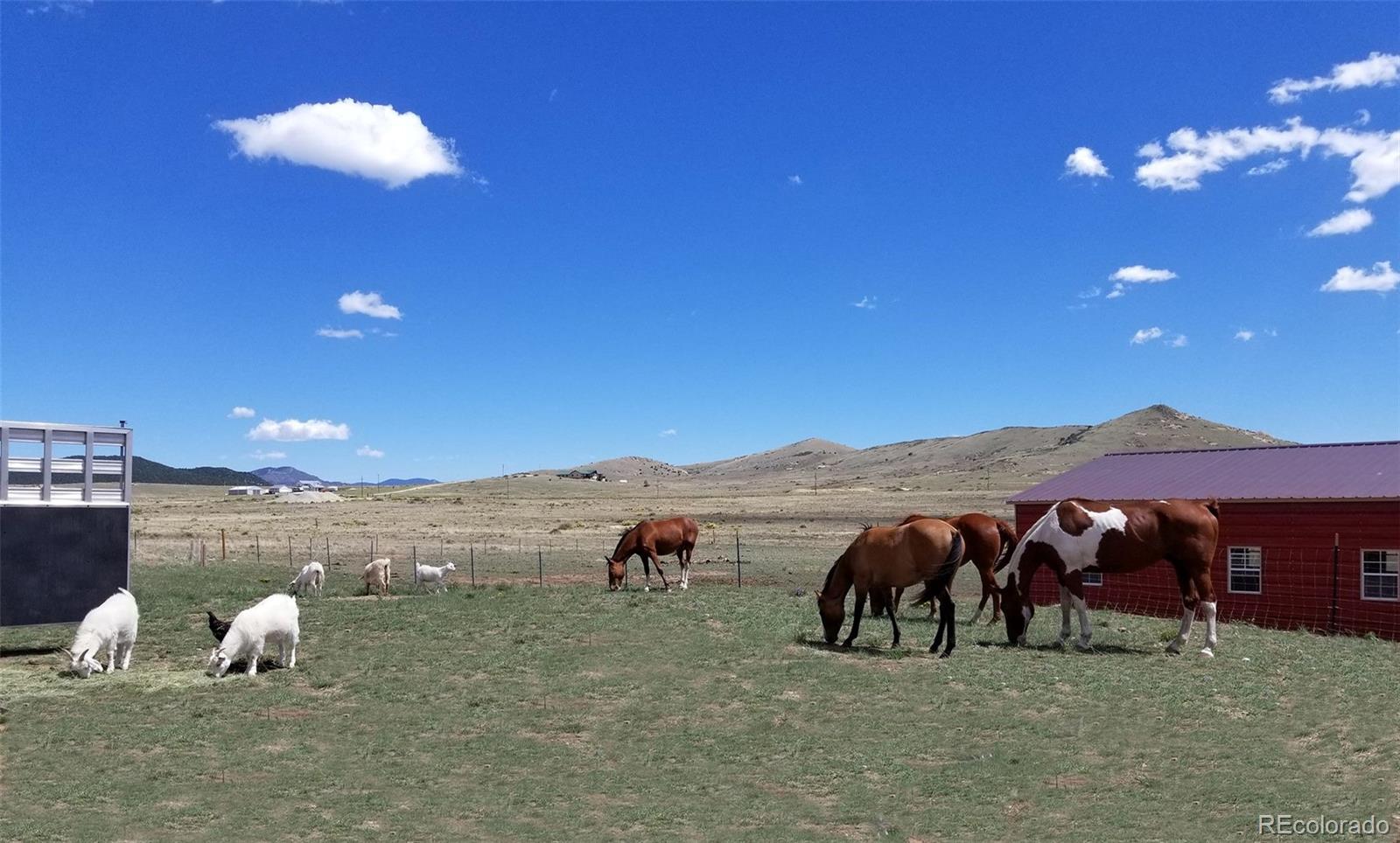 MLS Image #31 for 378  lone tree circle,westcliffe, Colorado