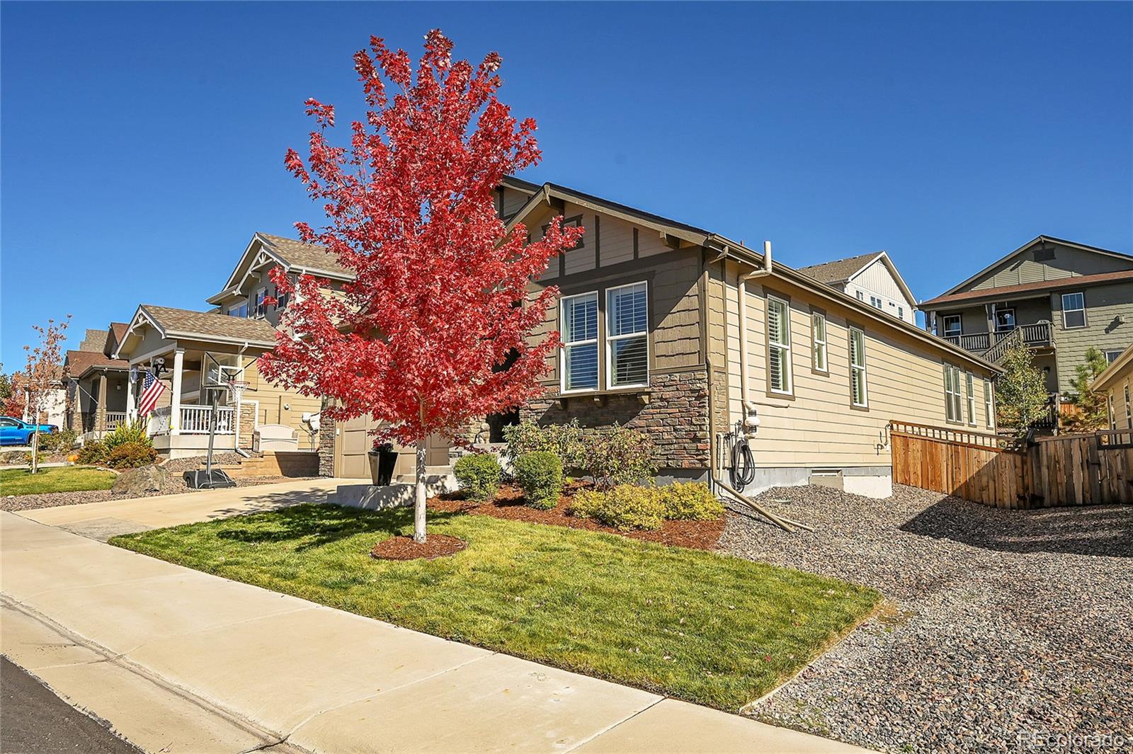 MLS Image #2 for 3946  forever circle,castle rock, Colorado