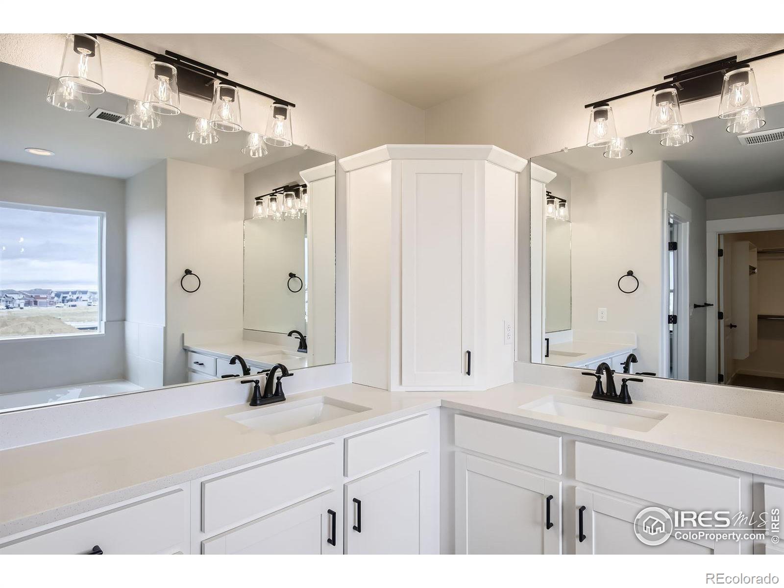 MLS Image #19 for 2081  falling leaf drive,windsor, Colorado