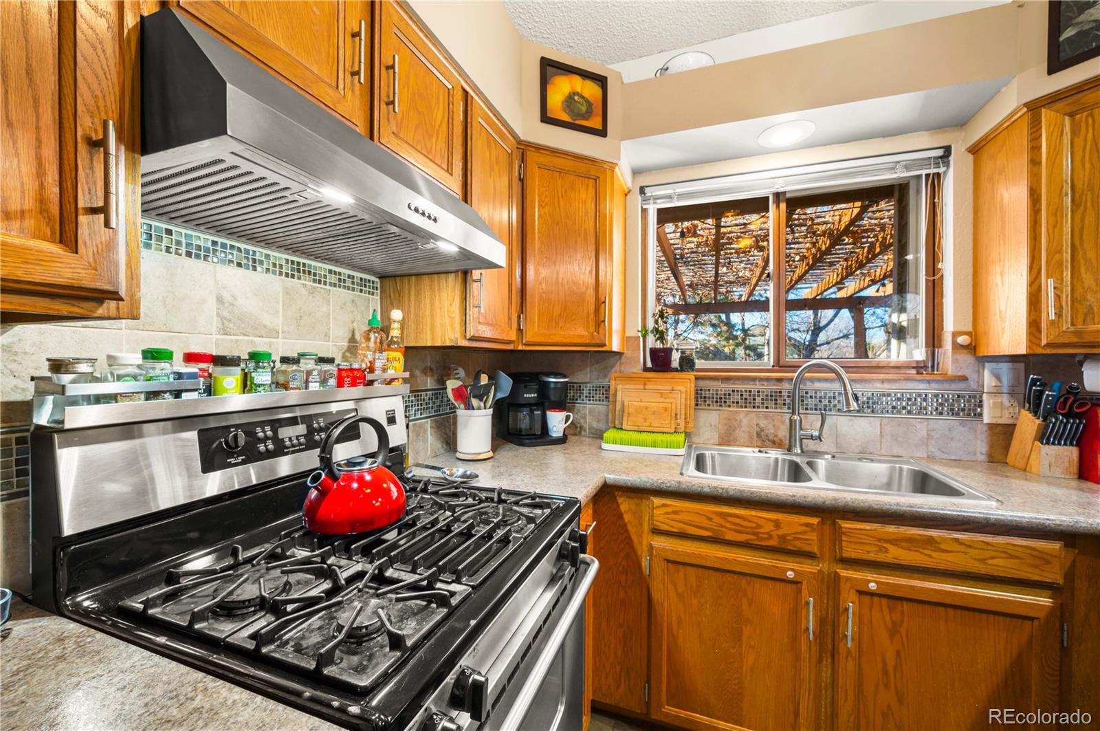 MLS Image #5 for 803  buchanan lane,longmont, Colorado