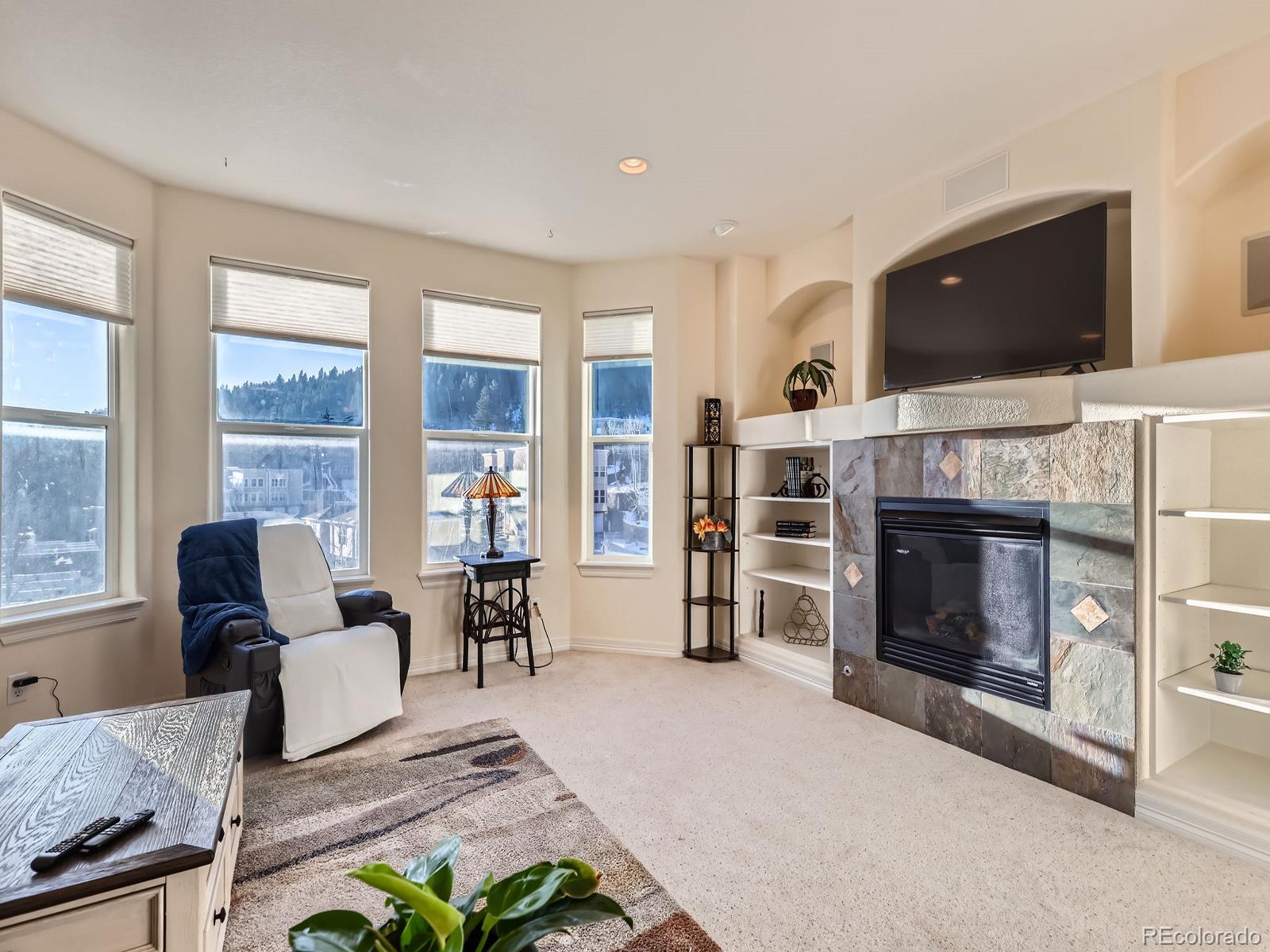 MLS Image #6 for 822  mack drive,central city, Colorado