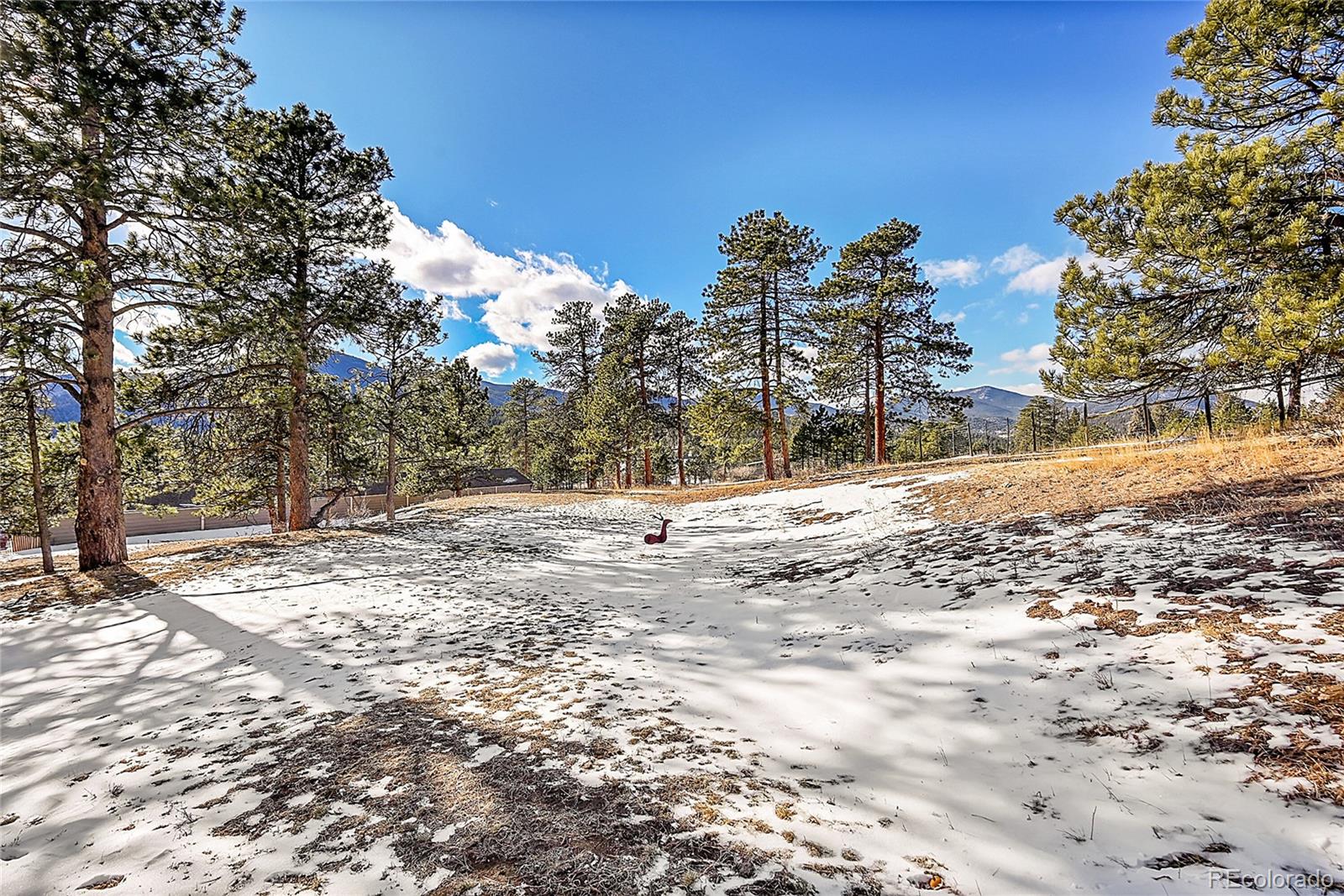 MLS Image #15 for 31819  rocky village drive,evergreen, Colorado