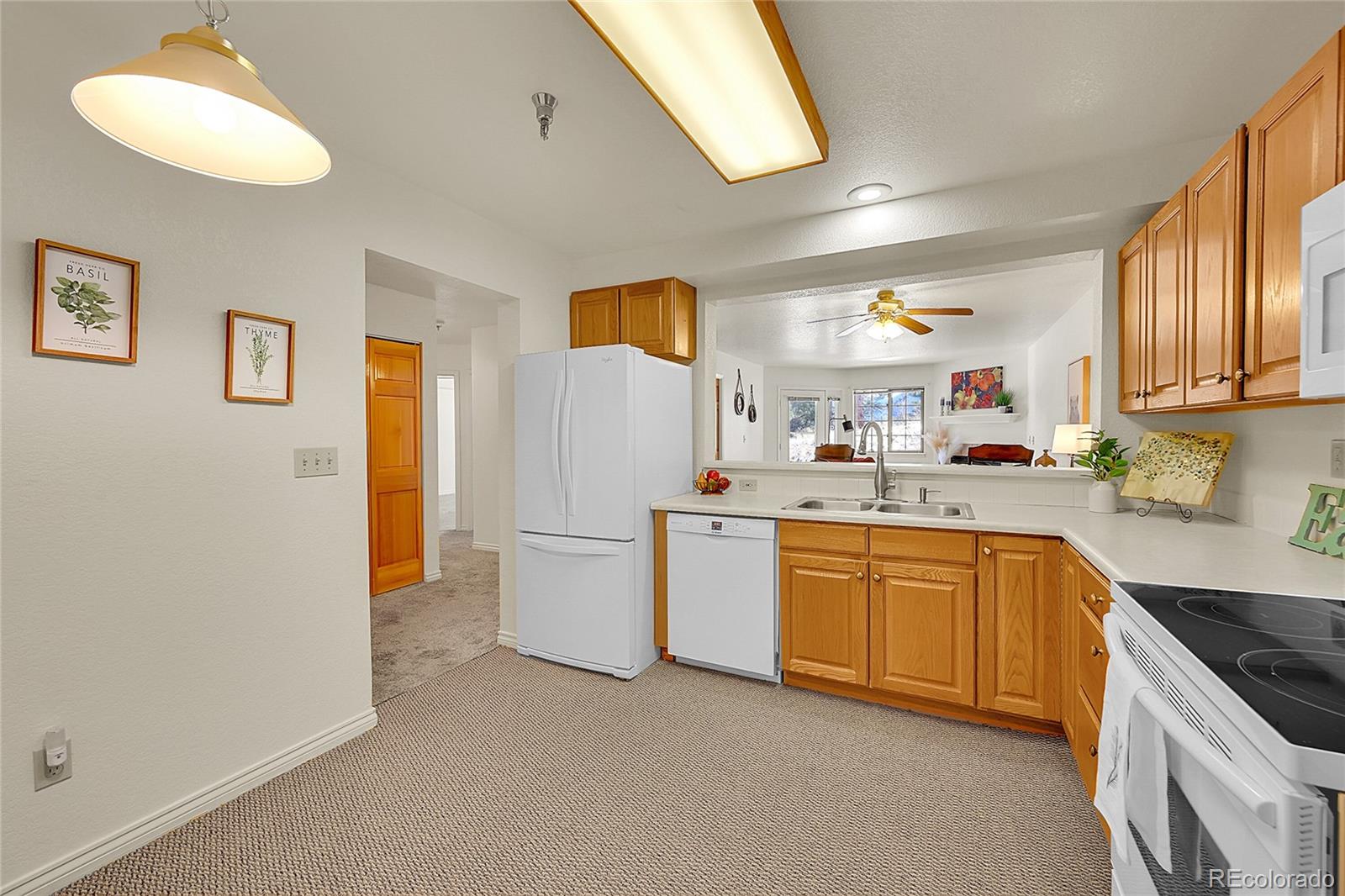 MLS Image #7 for 31819  rocky village drive,evergreen, Colorado