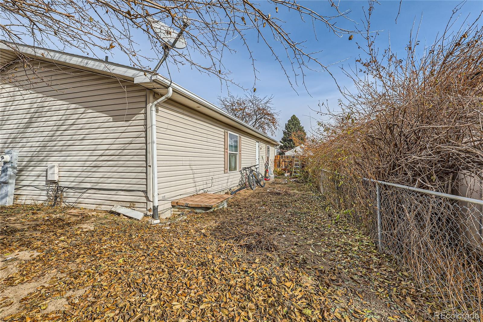 MLS Image #10 for 9065  mandel street,denver, Colorado