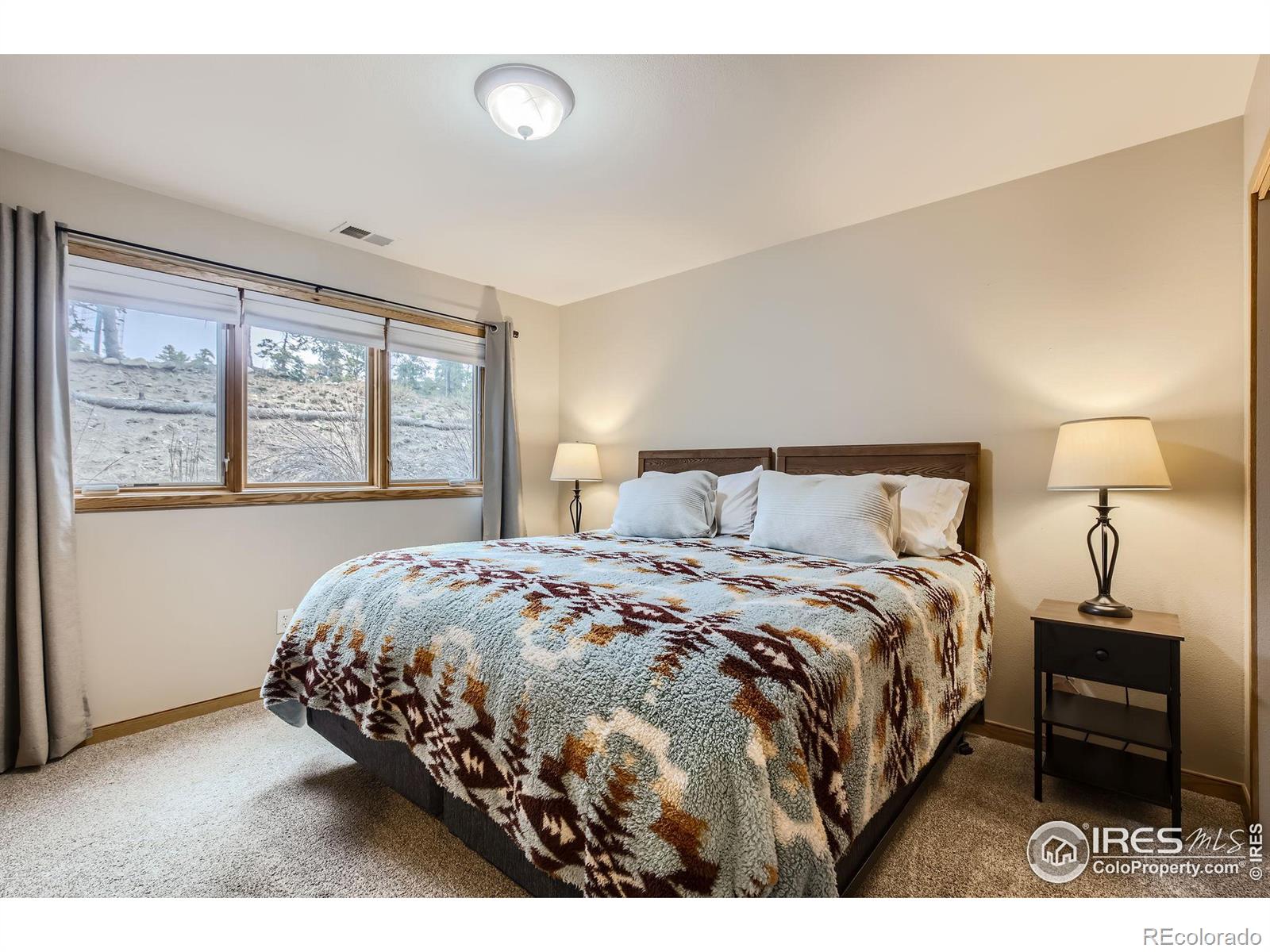 MLS Image #22 for 609  park river place,estes park, Colorado