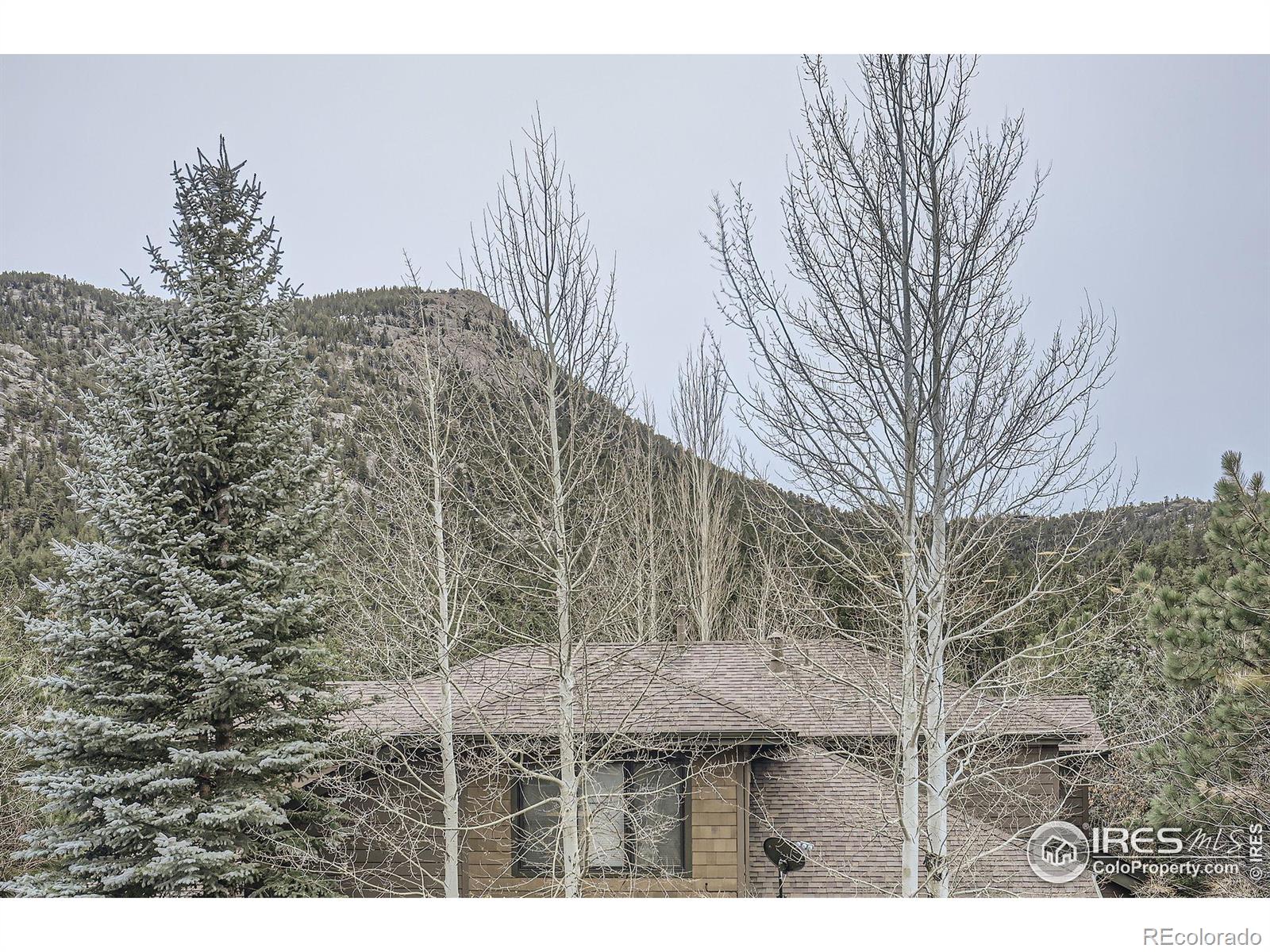 MLS Image #27 for 609  park river place,estes park, Colorado