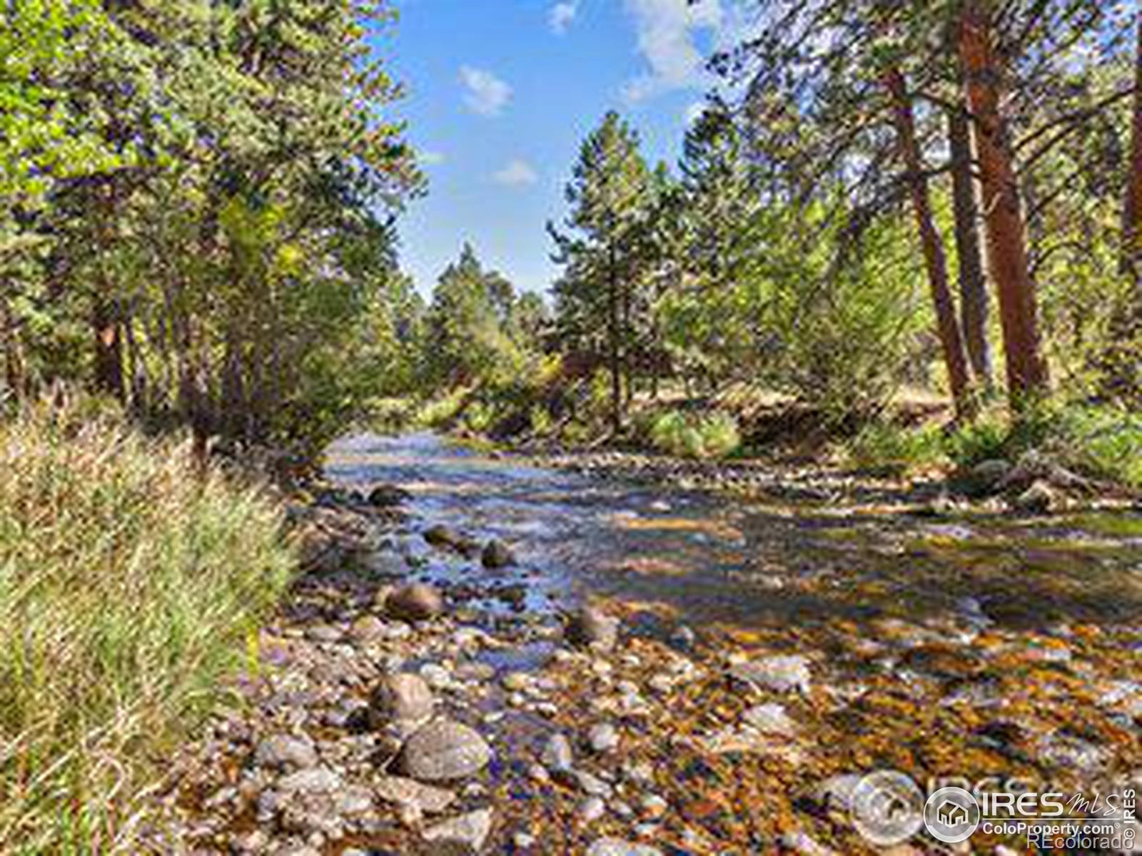 MLS Image #29 for 609  park river place,estes park, Colorado