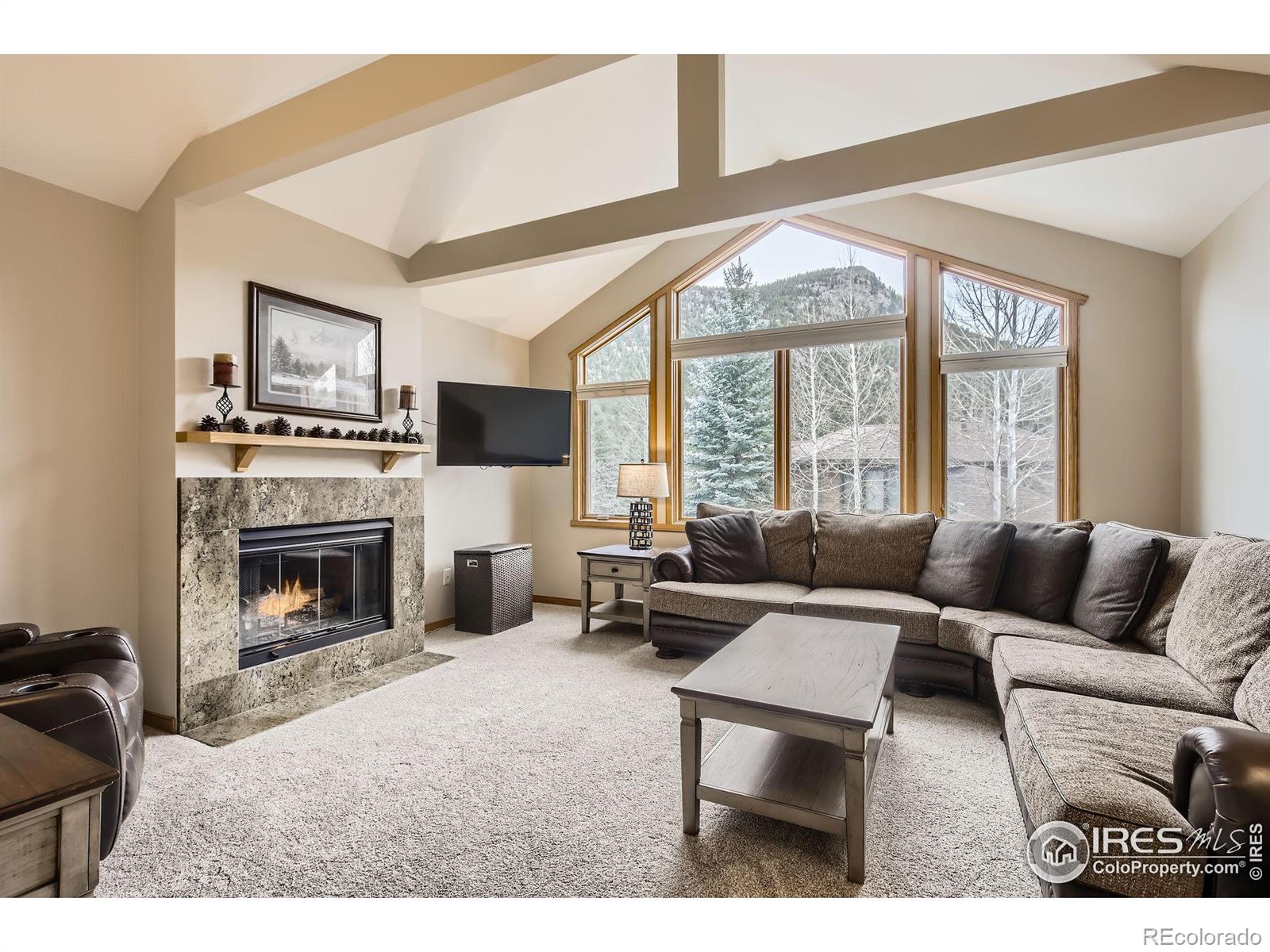 MLS Image #4 for 609  park river place,estes park, Colorado