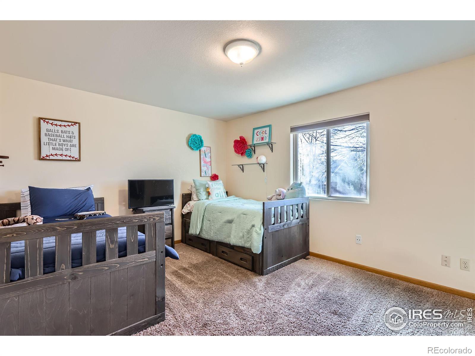 MLS Image #19 for 4458  sunridge drive,loveland, Colorado