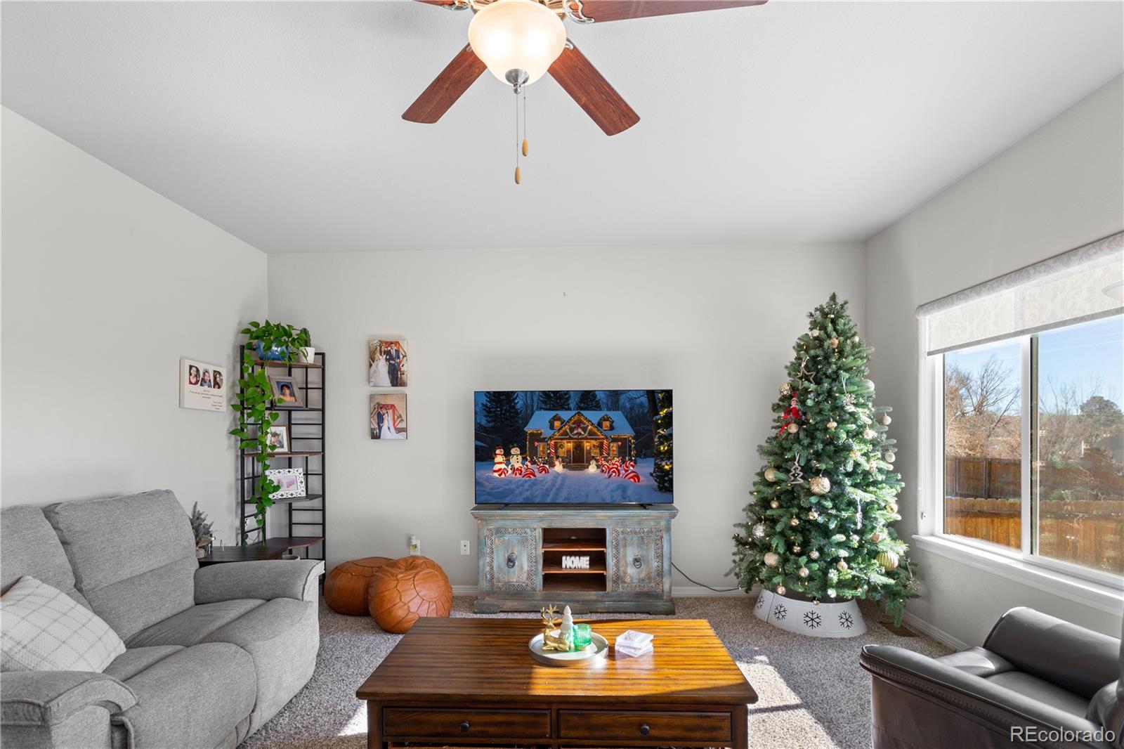 MLS Image #9 for 9777  wando drive,colorado springs, Colorado