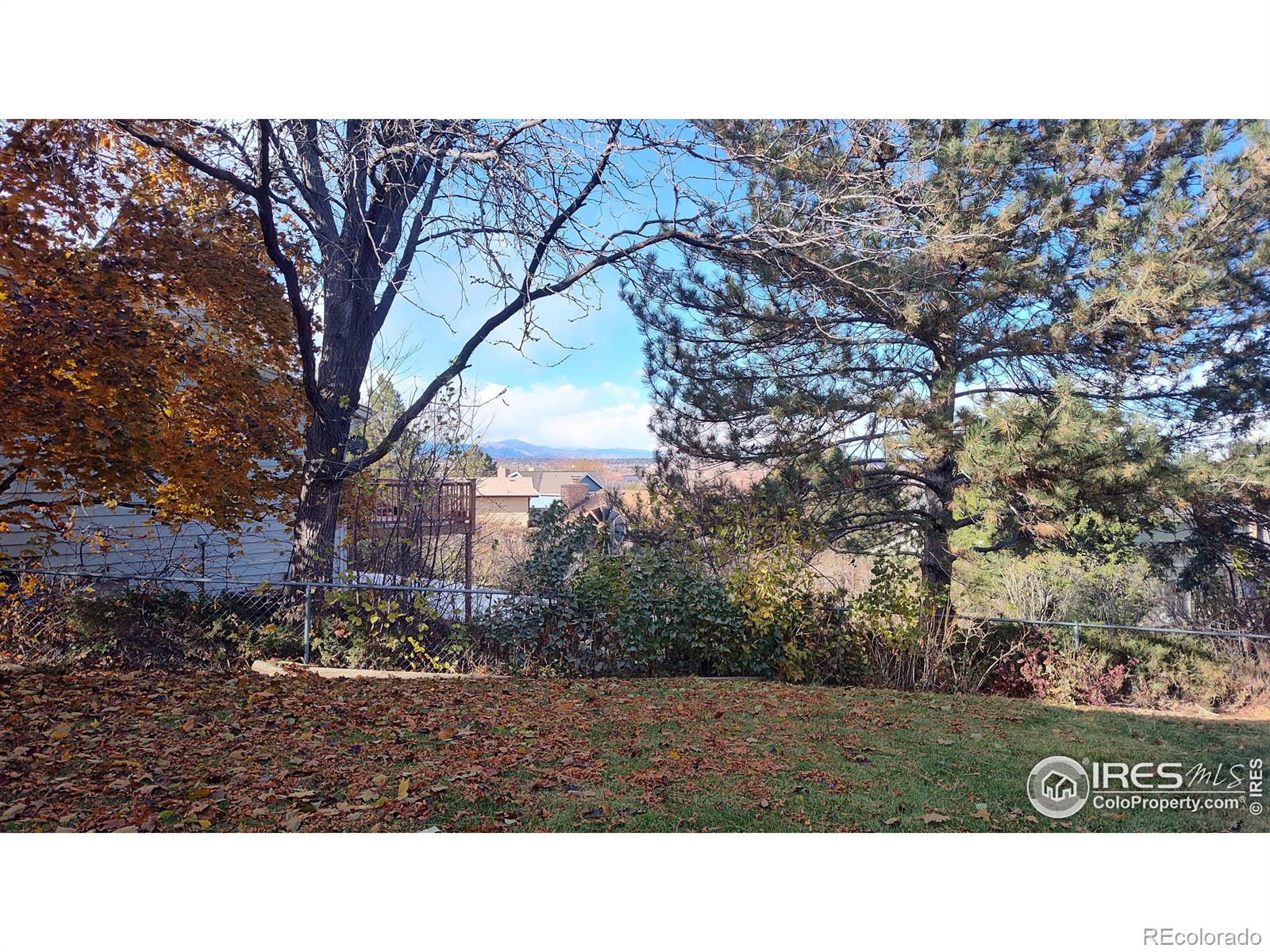 MLS Image #15 for 4231 w 110th place,westminster, Colorado