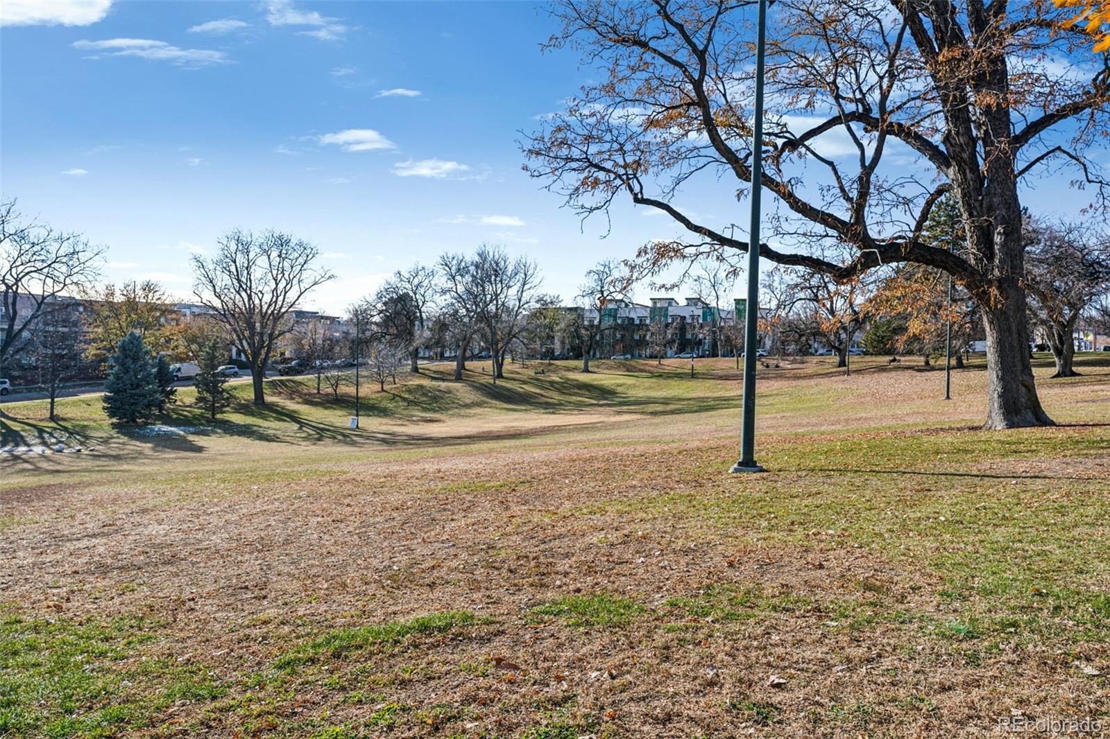 MLS Image #35 for 2343  decatur street ,denver, Colorado