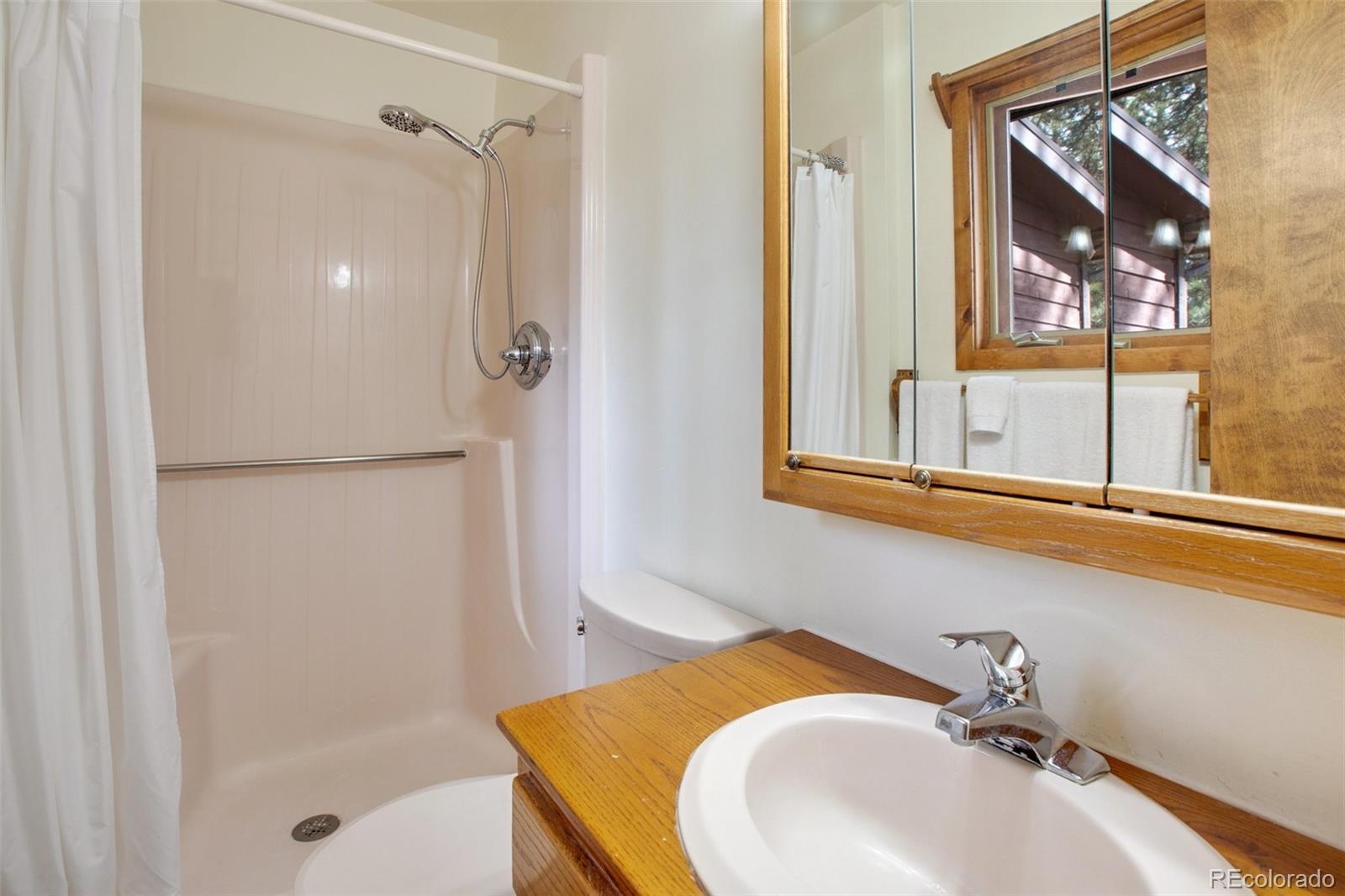 MLS Image #18 for 725  sunnywood loop,woodland park, Colorado