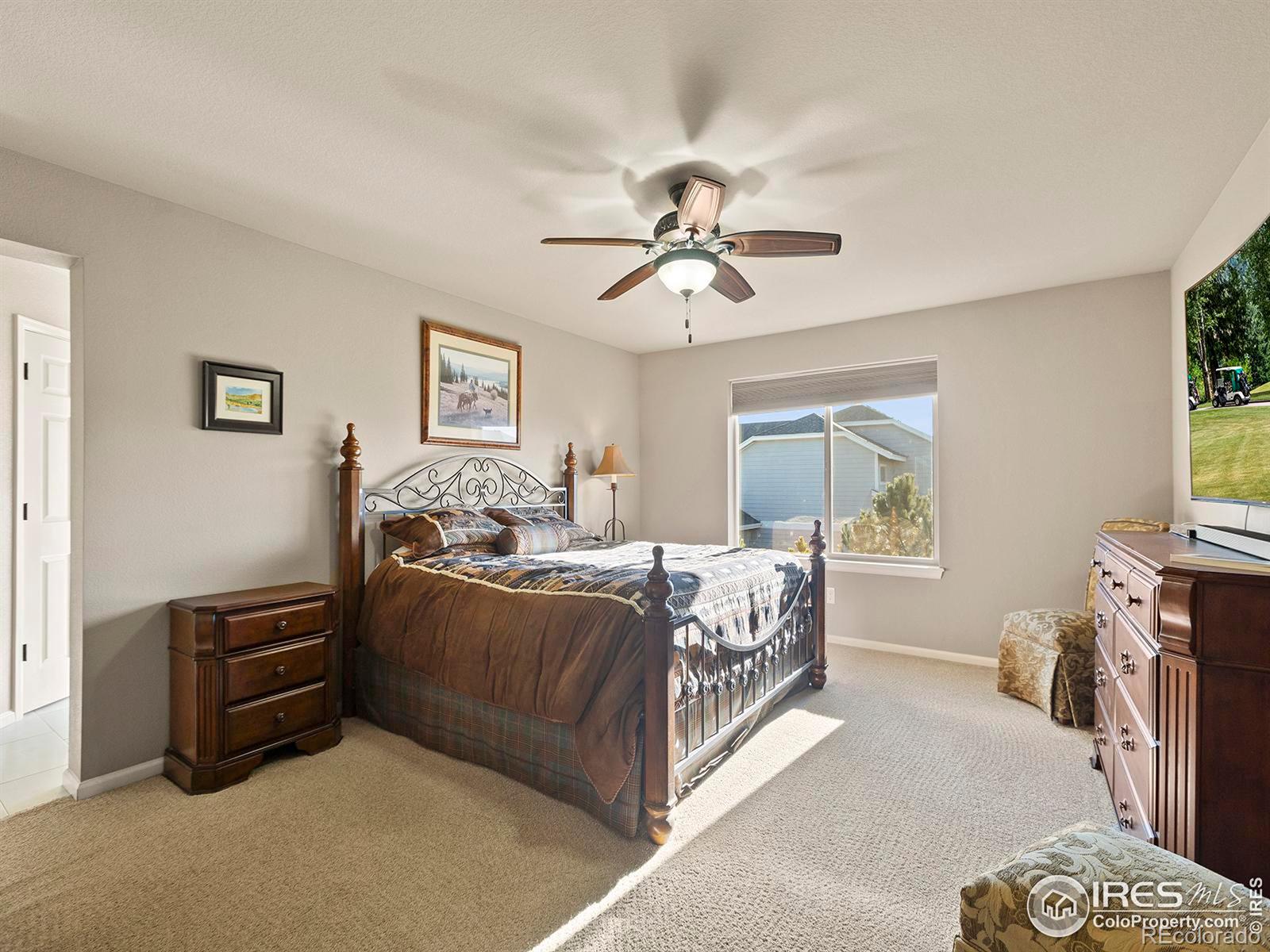 MLS Image #17 for 5432  lulu city drive,timnath, Colorado