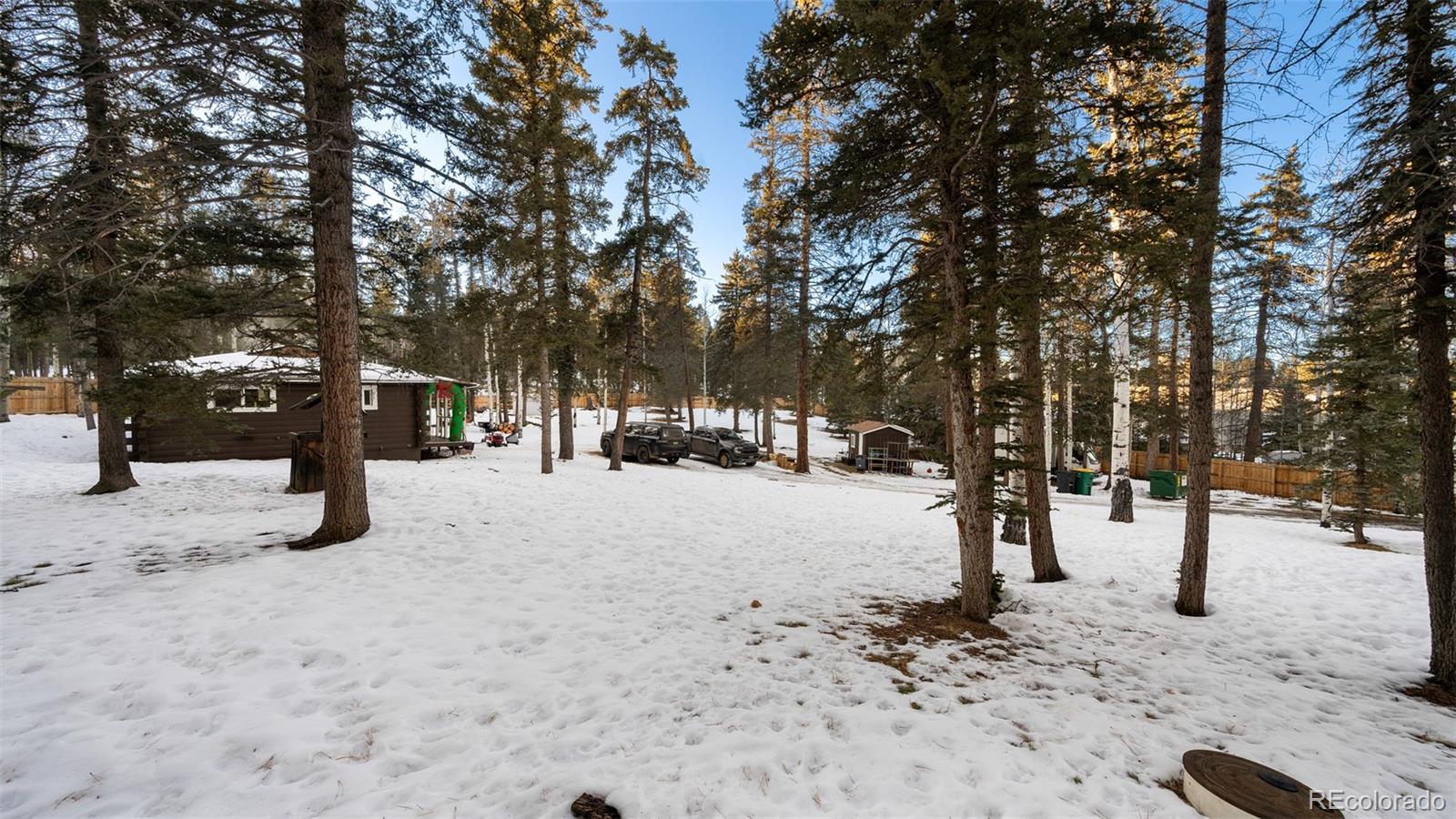 MLS Image #3 for 127  kenwood drive,florissant, Colorado