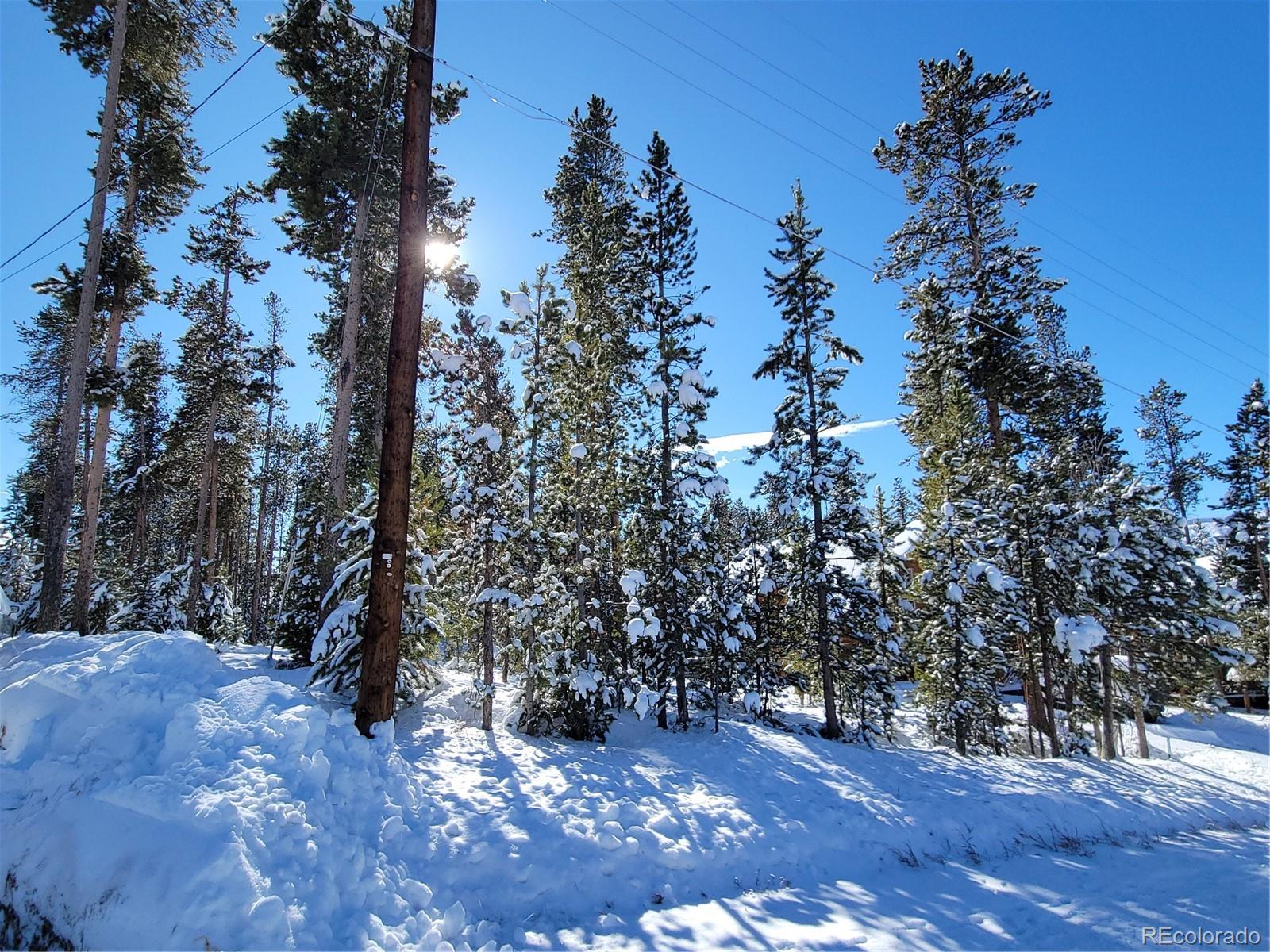 MLS Image #10 for 1318  gcr 49 ,grand lake, Colorado