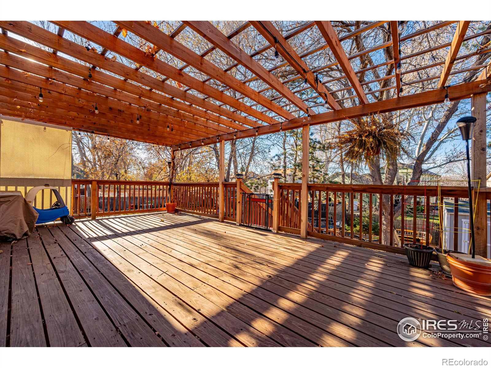 MLS Image #24 for 803  buchanan lane,longmont, Colorado