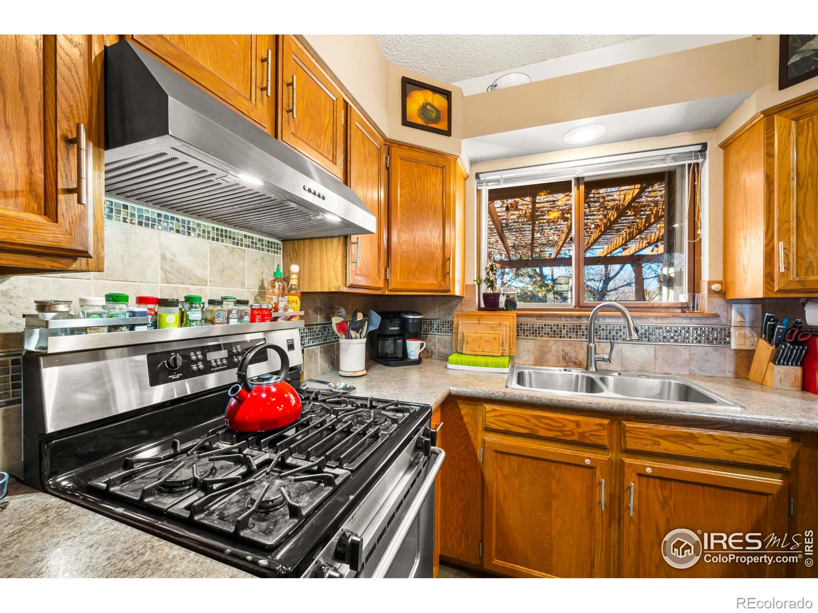 MLS Image #7 for 803  buchanan lane,longmont, Colorado