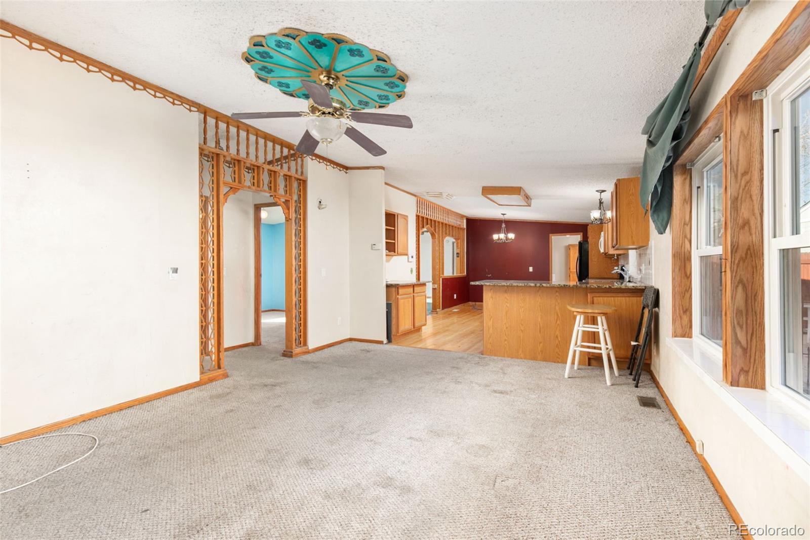 MLS Image #10 for 9008  madeleine street,denver, Colorado