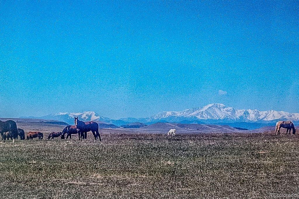 MLS Image #2 for 6597 s state highway 83 ,franktown, Colorado