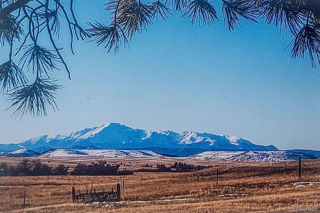 MLS Image #6 for 6597 s state highway 83 ,franktown, Colorado