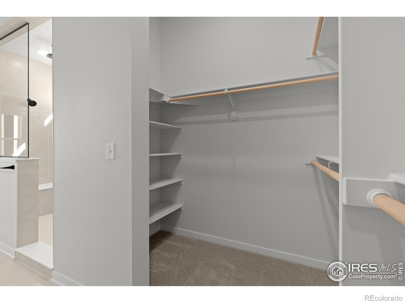 MLS Image #12 for 2781  blue iris drive,loveland, Colorado