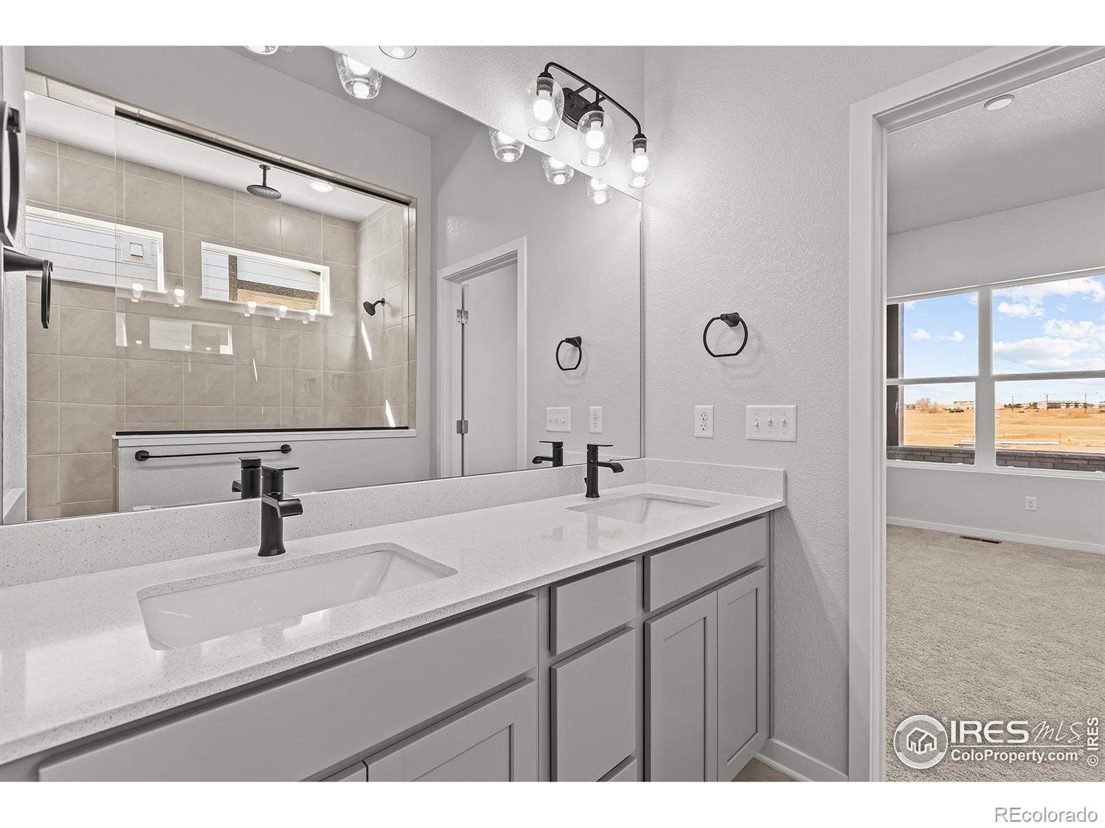 MLS Image #13 for 2781  blue iris drive,loveland, Colorado