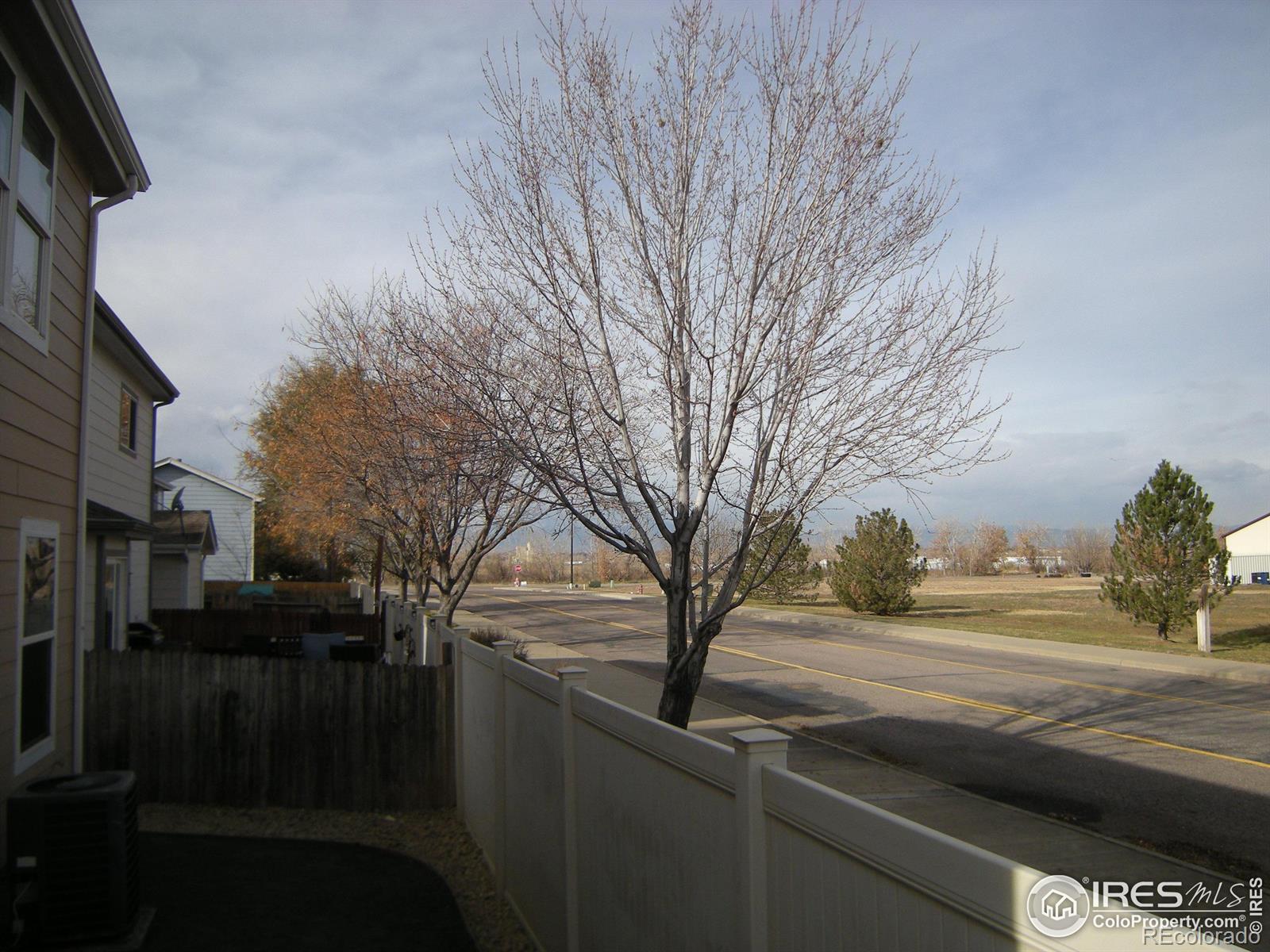 MLS Image #6 for 10695  butte drive,longmont, Colorado