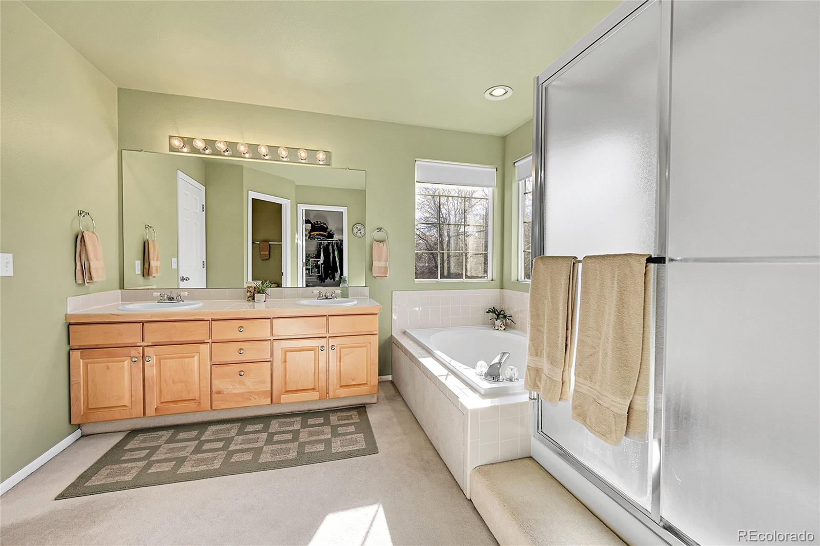 MLS Image #17 for 9609  golden eagle drive,highlands ranch, Colorado