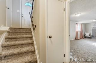 MLS Image #15 for 1560  yakima drive,colorado springs, Colorado