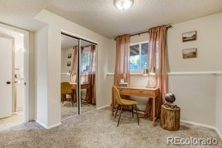 MLS Image #16 for 1560  yakima drive,colorado springs, Colorado