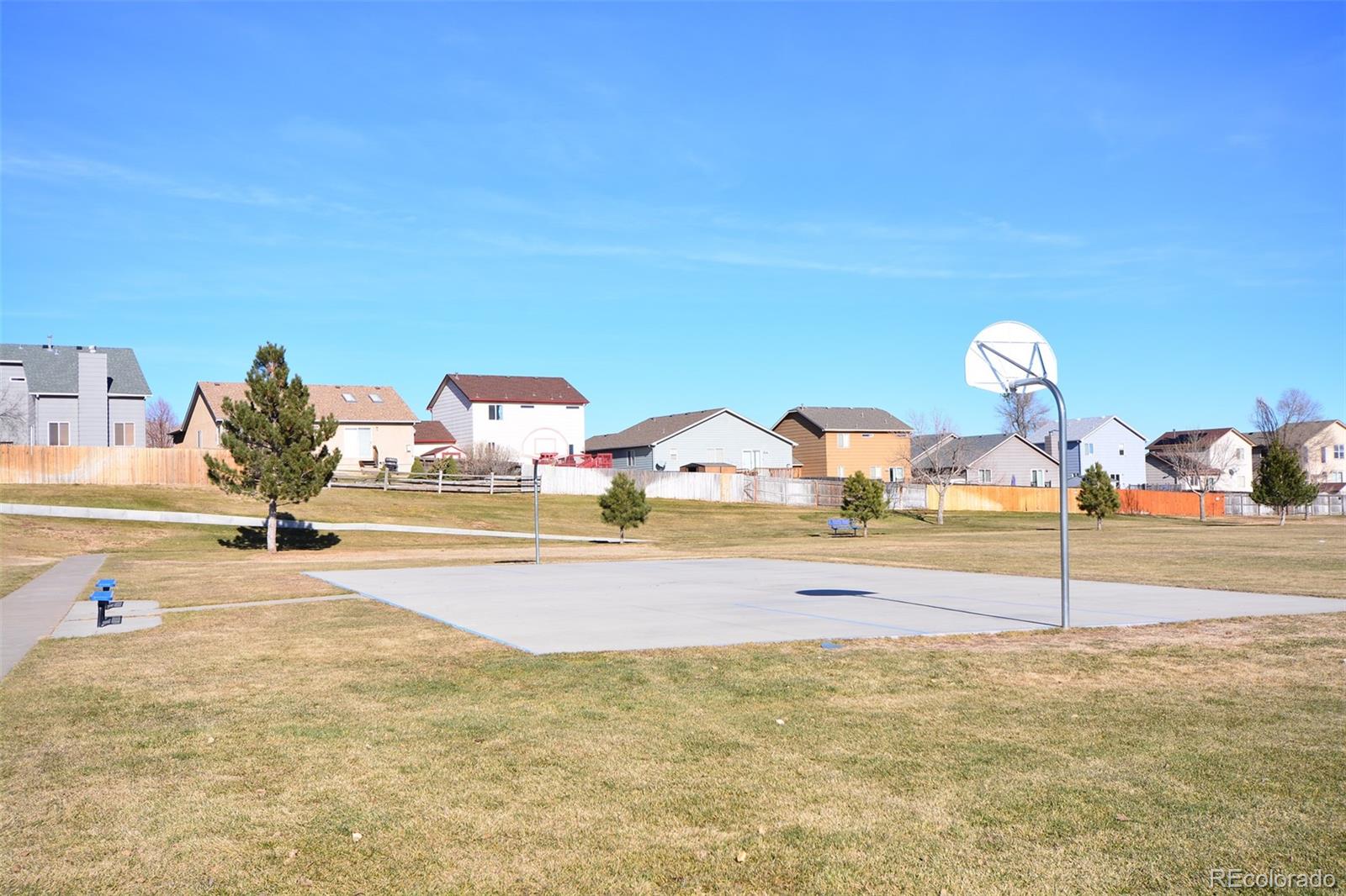 MLS Image #20 for 4775  marabou way,colorado springs, Colorado