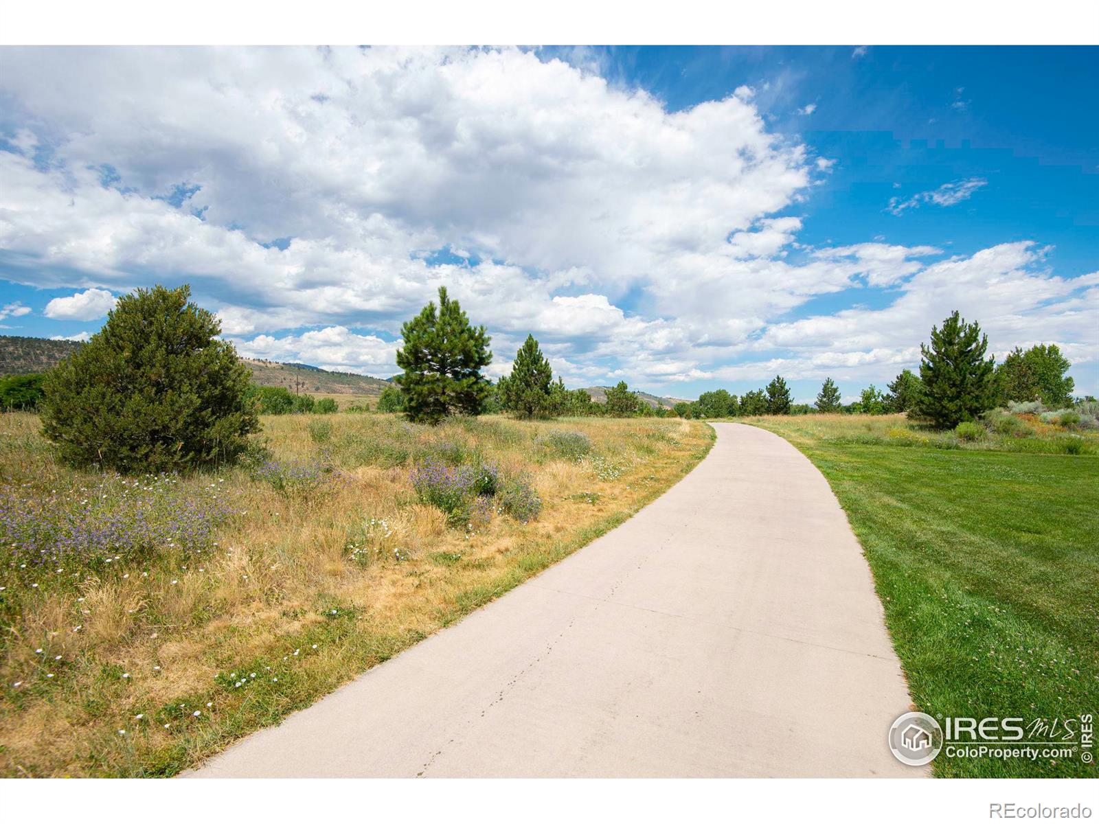 MLS Image #35 for 1739  azalea drive,fort collins, Colorado