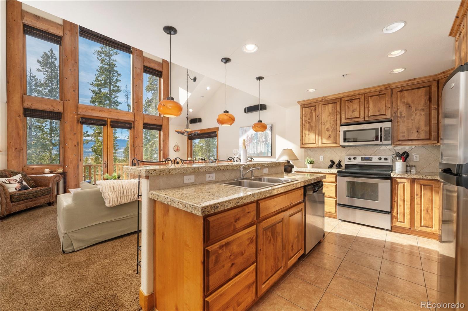 MLS Image #5 for 310  cougar avenue,fraser, Colorado