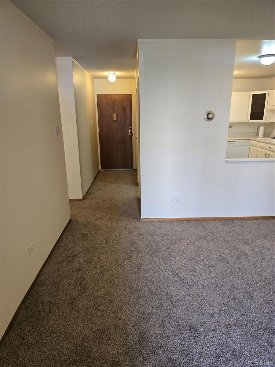 MLS Image #21 for 600 s clinton street 3a,denver, Colorado