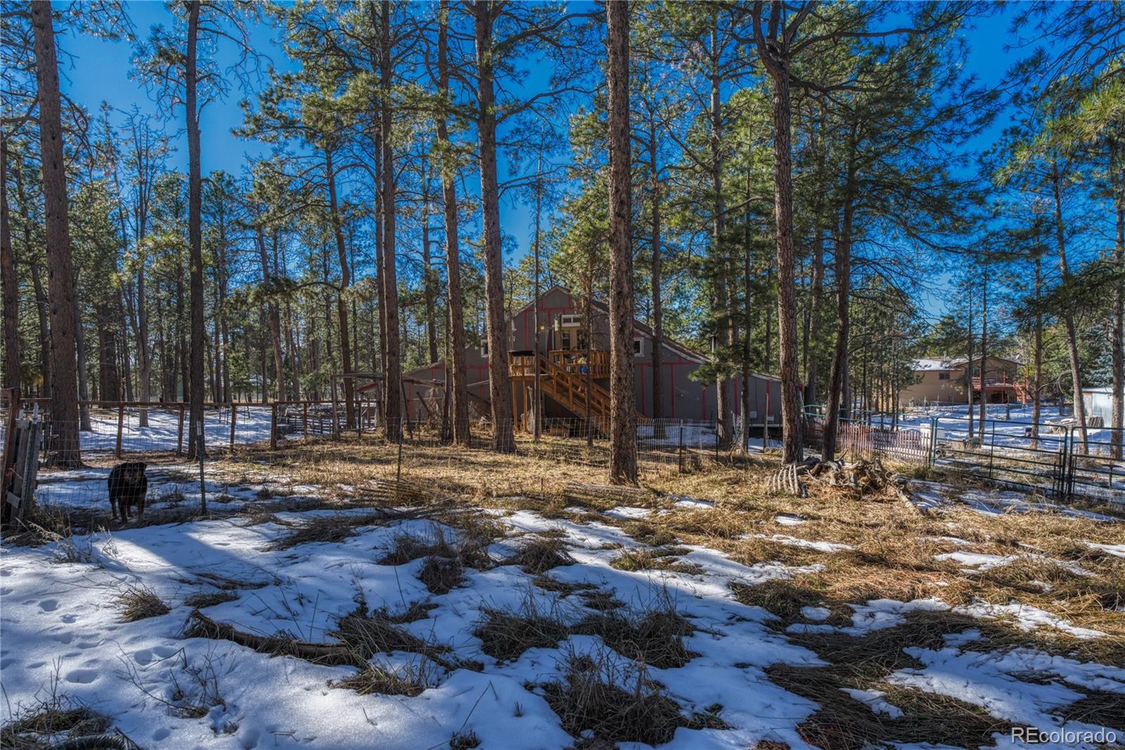 MLS Image #11 for 13455  meadow glen lane,colorado springs, Colorado