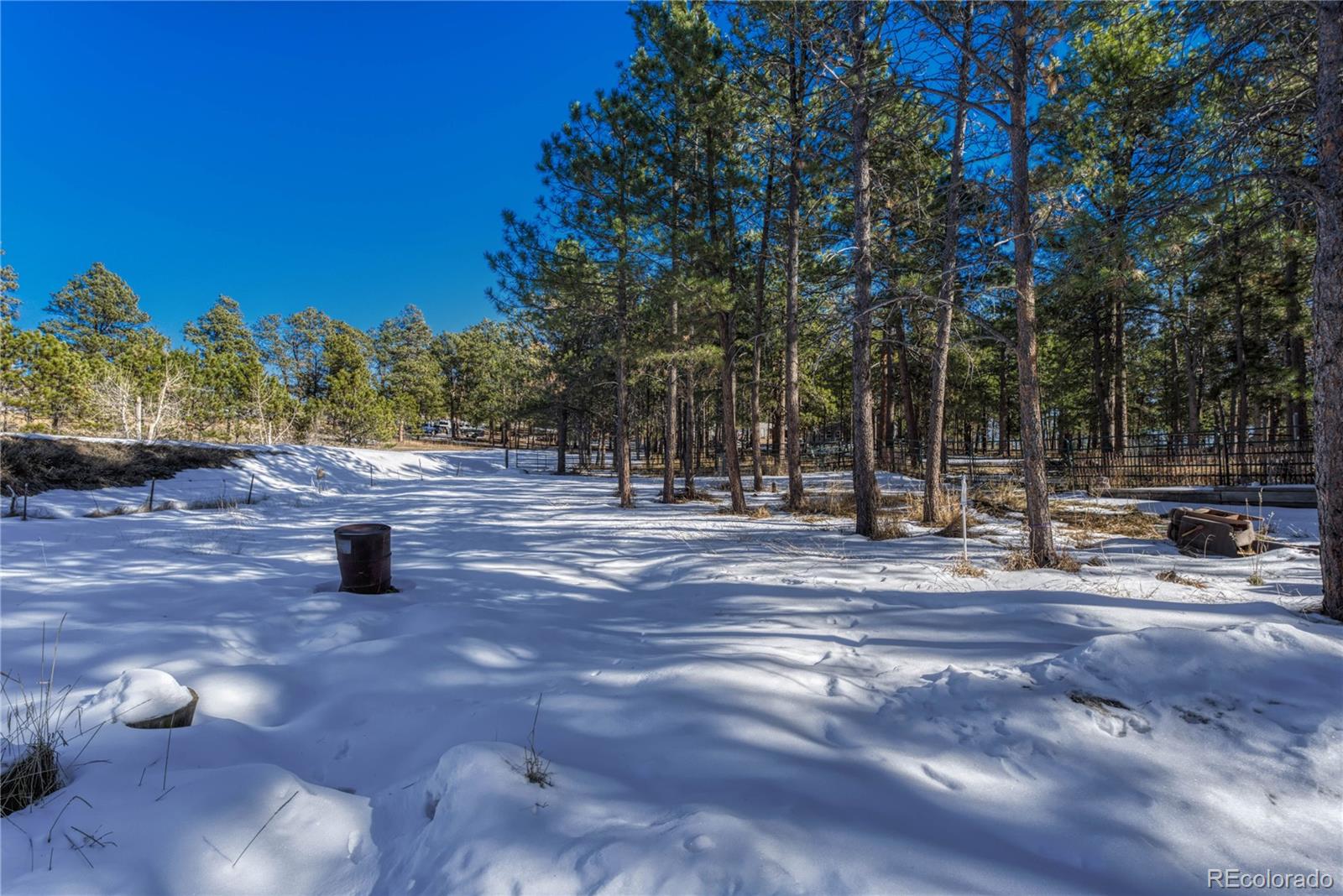 MLS Image #13 for 13455  meadow glen lane,colorado springs, Colorado