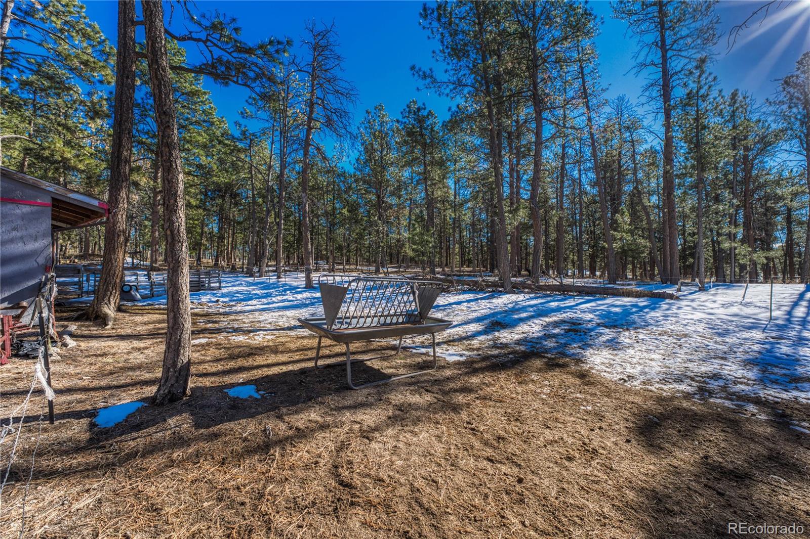 MLS Image #15 for 13455  meadow glen lane,colorado springs, Colorado