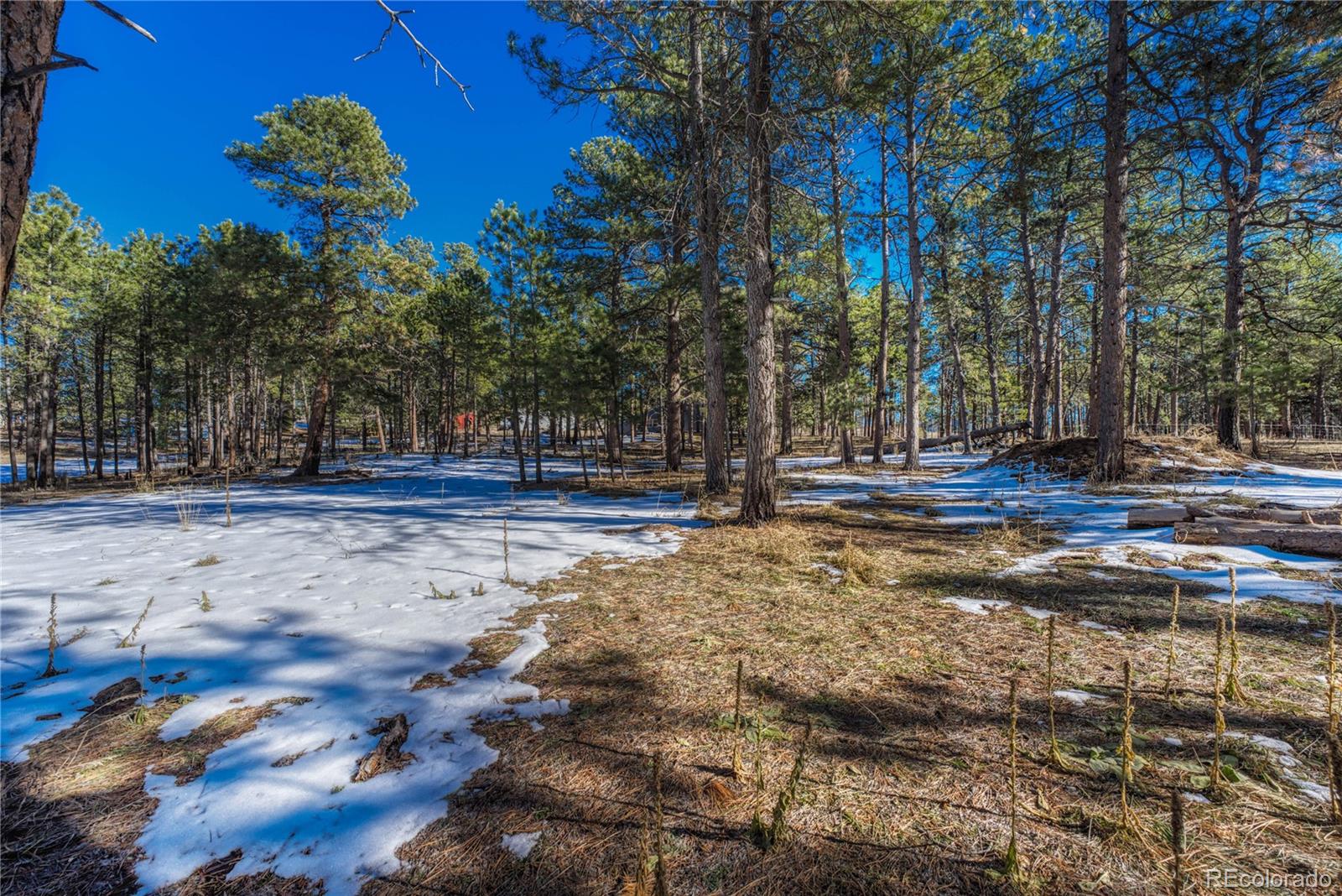 MLS Image #17 for 13455  meadow glen lane,colorado springs, Colorado