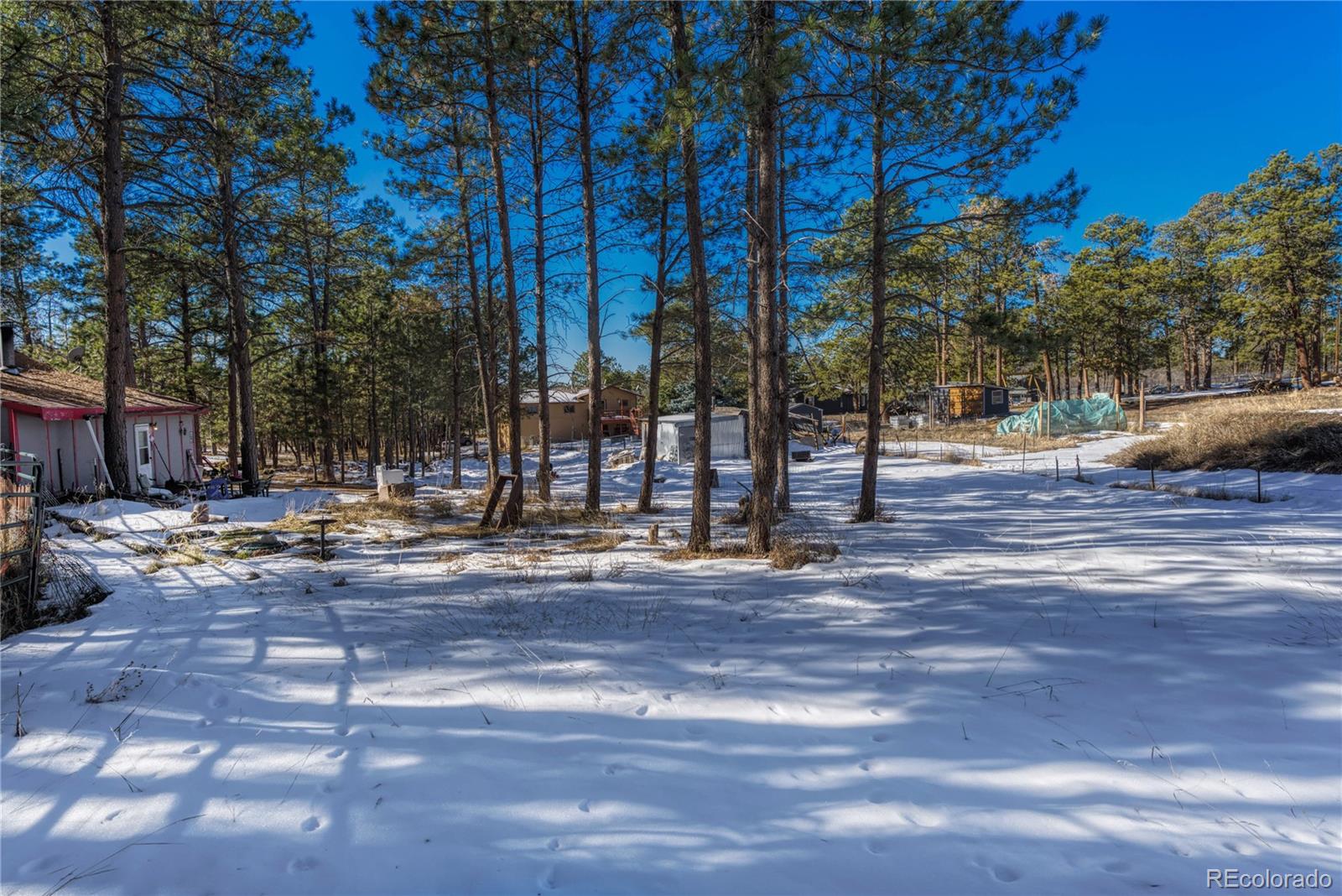 MLS Image #18 for 13455  meadow glen lane,colorado springs, Colorado