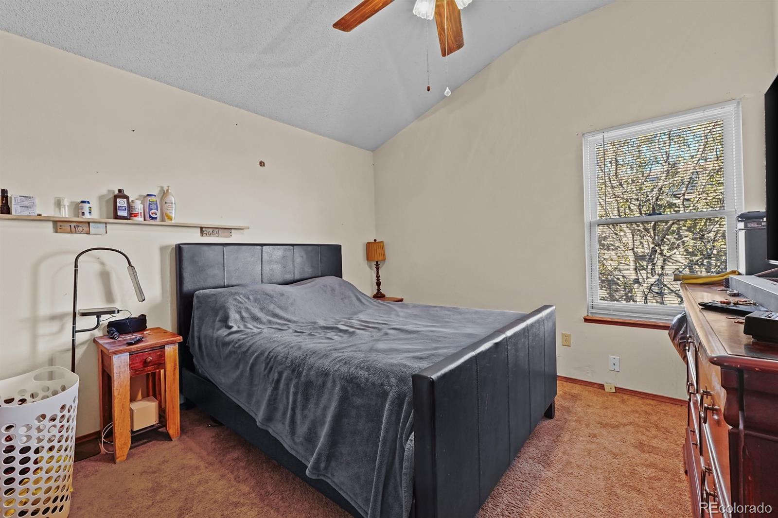 MLS Image #12 for 1344  canoe creek drive,colorado springs, Colorado