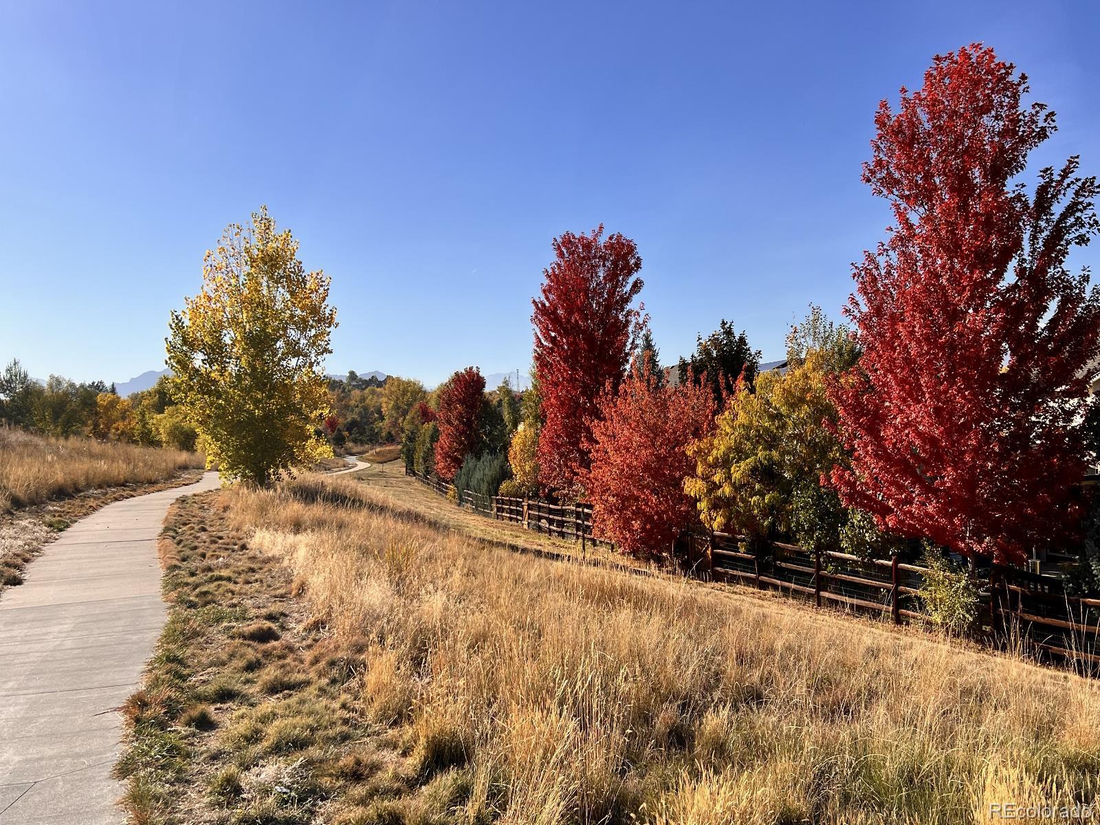 MLS Image #27 for 1854  jules lane,louisville, Colorado