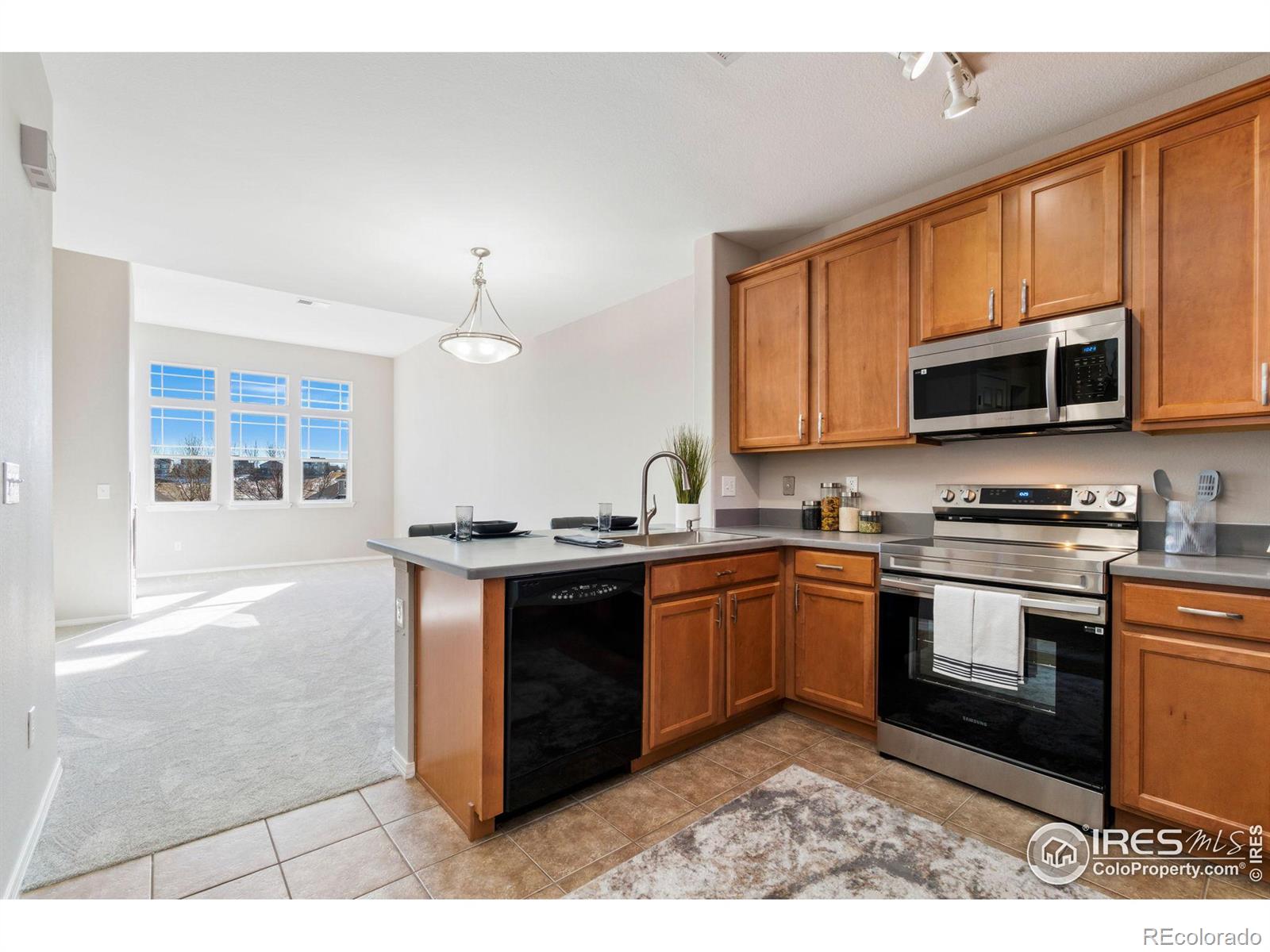 MLS Image #15 for 8467  canyon rim circle,englewood, Colorado