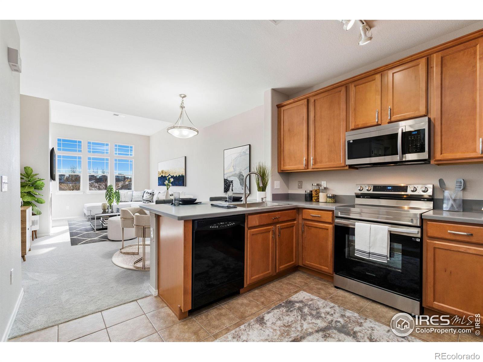 MLS Image #5 for 8467  canyon rim circle,englewood, Colorado