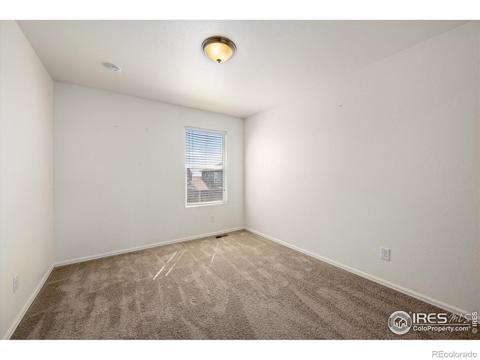 MLS Image #22 for 3623  torch lily street,wellington, Colorado