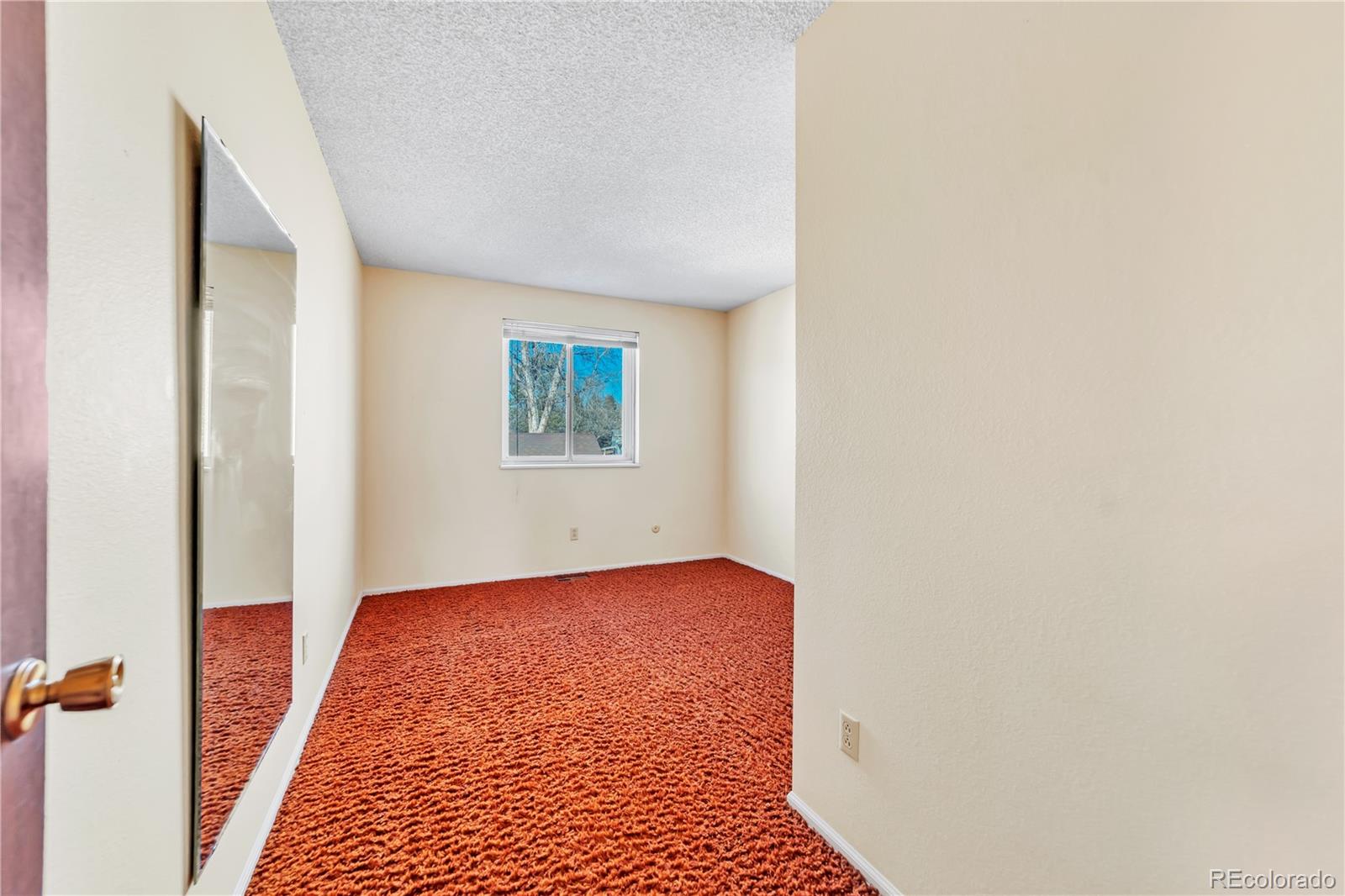 MLS Image #34 for 3130  raindrop drive,colorado springs, Colorado