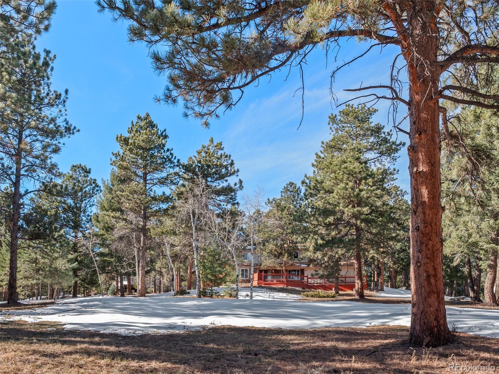 MLS Image #45 for 28735  little big horn drive,evergreen, Colorado